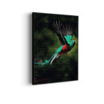 Akoestisch Schilderij Schitterende Vliegende Quetzal Vogel Rechthoek Verticaal Template 50 70 verticaal dieren 34 scaled 1
