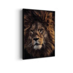 Akoestisch Schilderij The Lion Rechthoek Verticaal Template 50 70 verticaal dieren 5 scaled 1