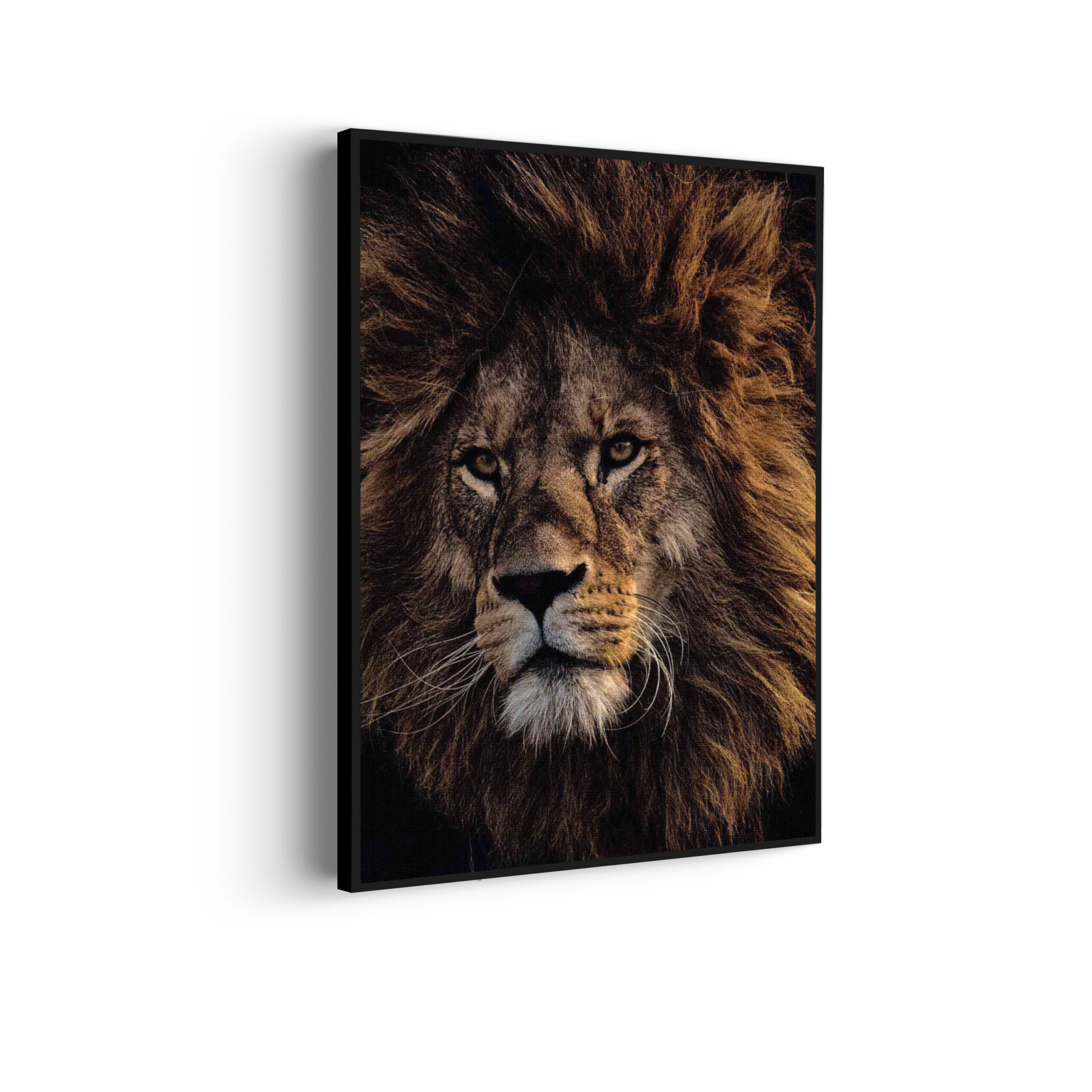 Akoestisch Schilderij Springende Dolfijnen Goud 01 Rechthoek Verticaal Template 50 70 verticaal dieren 5 scaled 1