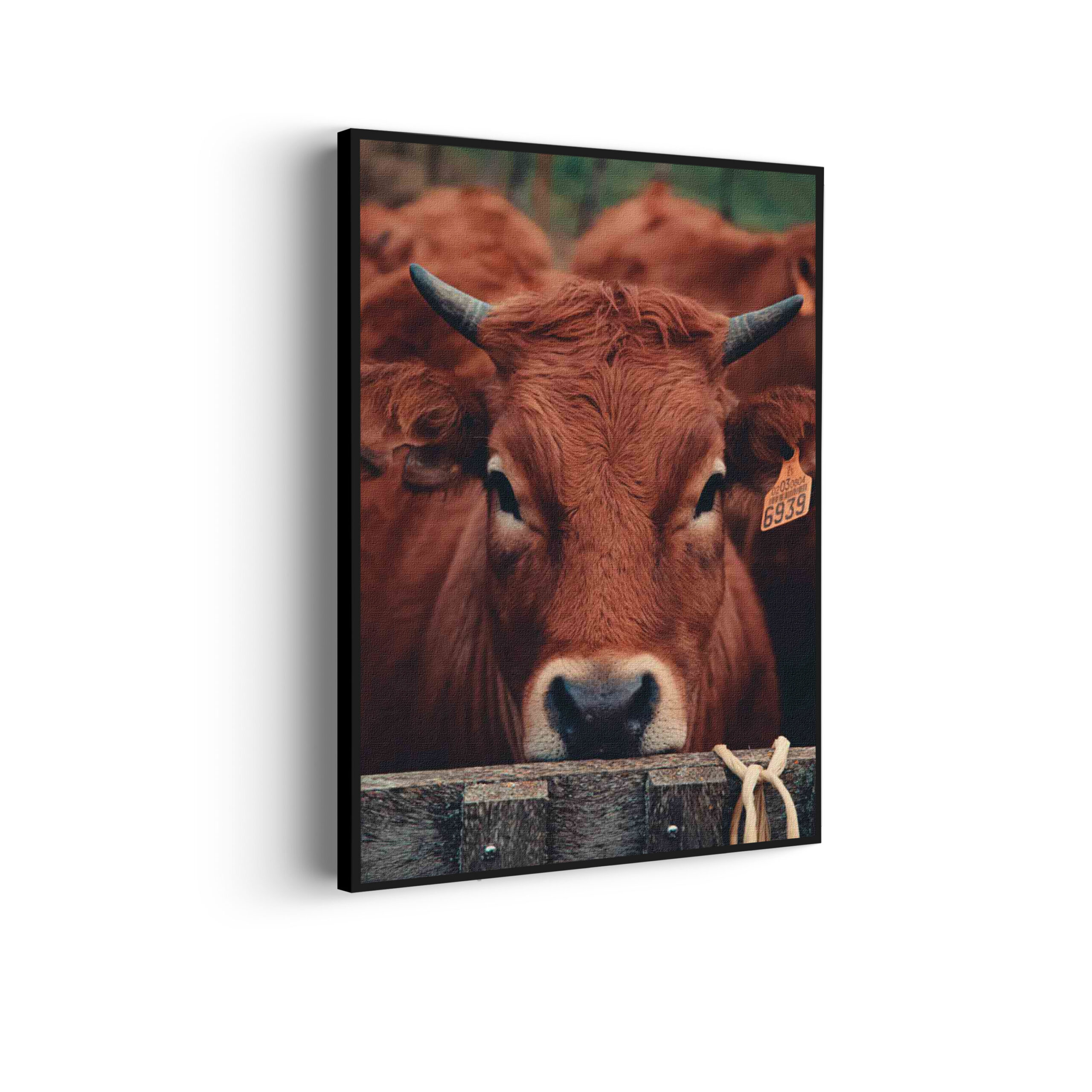 Akoestisch Schilderij Springende Dolfijnen Goud 01 Rechthoek Verticaal Template 50 70 verticaal dieren 6 scaled 1