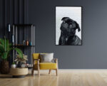 Akoestisch Schilderij Mopshond Zwart Rechthoek Verticaal Template 50 70 verticaal dieren 7 1 scaled 1