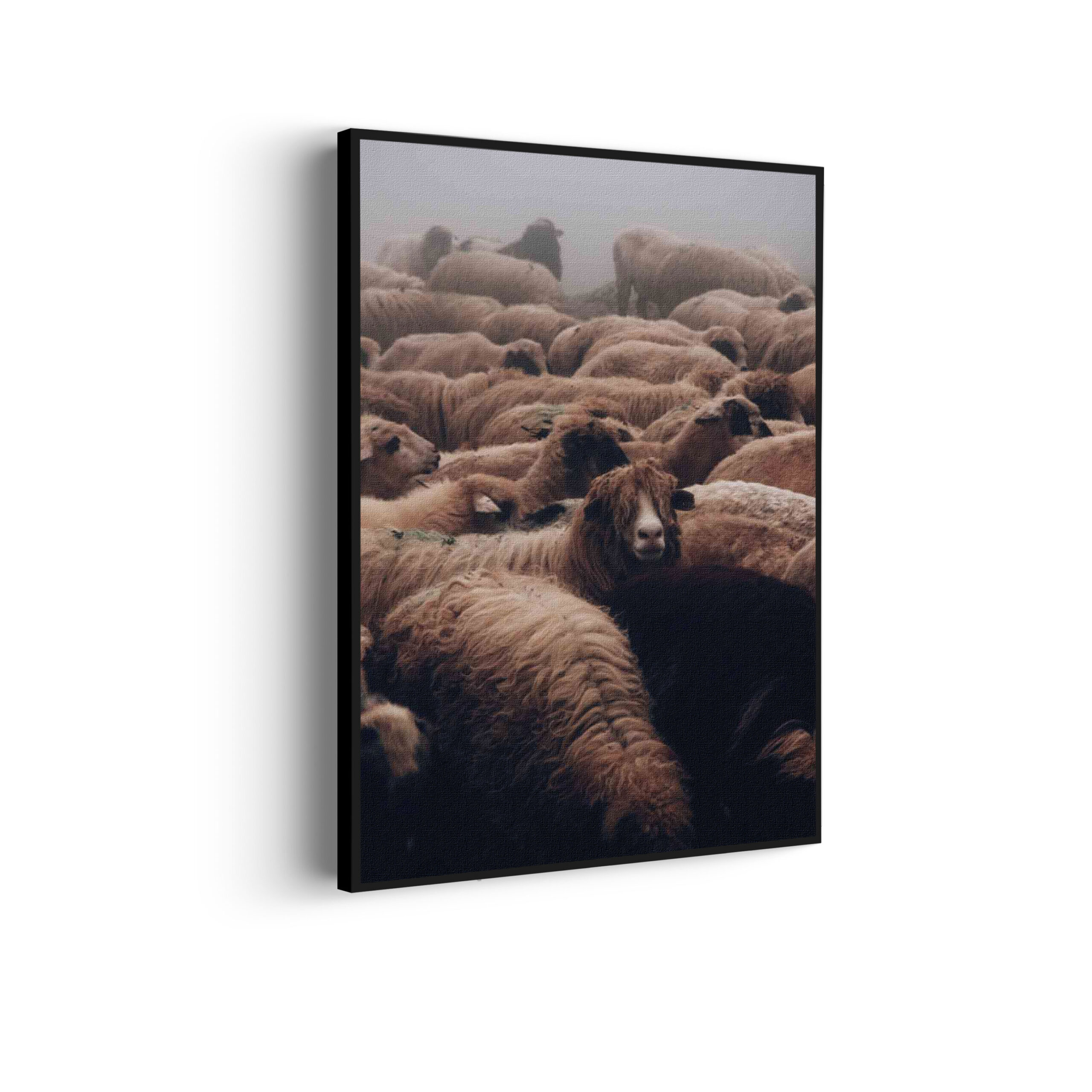 Akoestisch Schilderij Kudde Schapen Rechthoek Verticaal Template 50 70 verticaal dieren 8 scaled 1