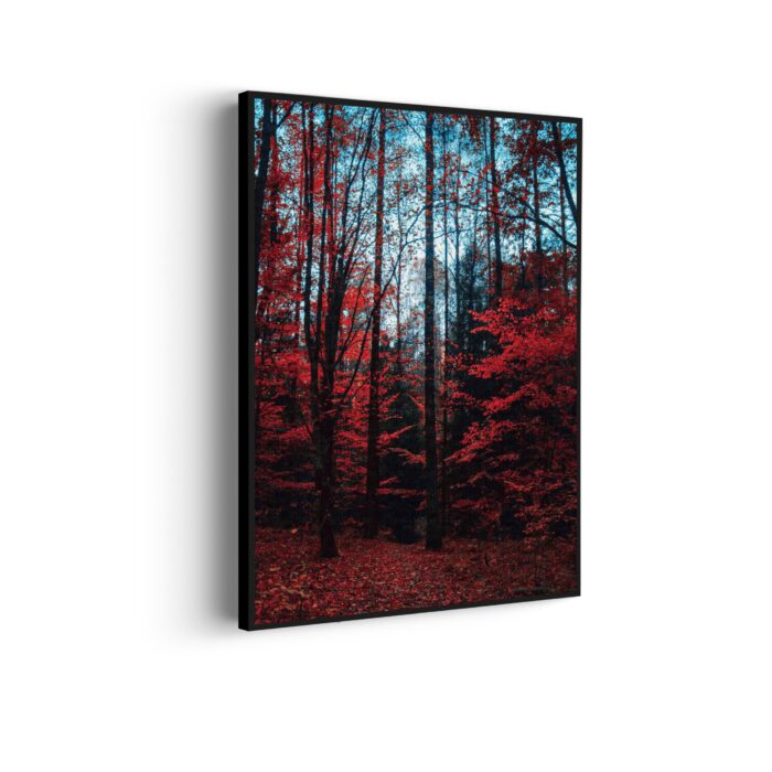 Akoestisch Schilderij Het rode bos Rechthoek Verticaal Template 50 70 verticaal natuur 12 scaled 1