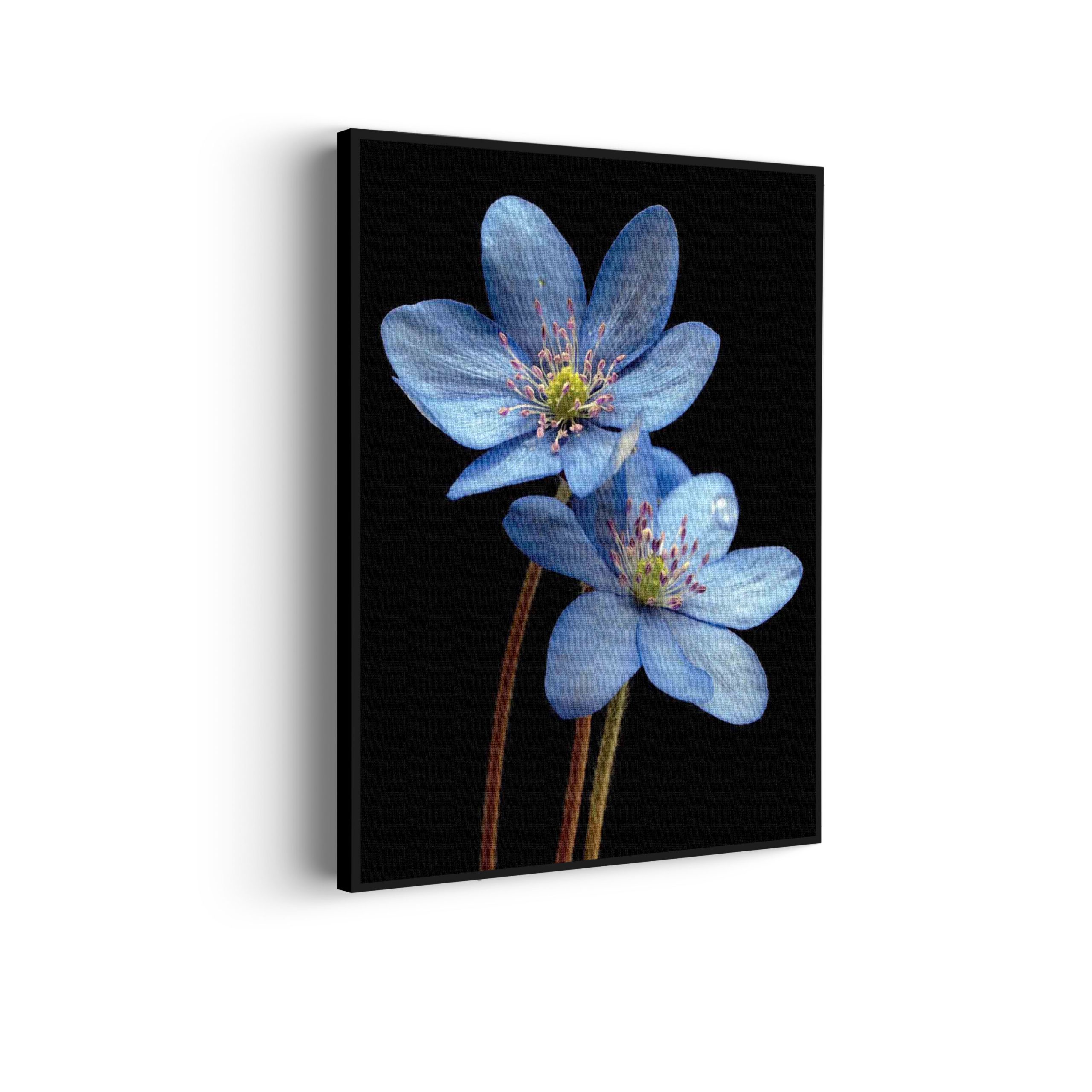 Akoestisch Schilderij De rivier van Zion Rechthoek Verticaal Template 50 70 verticaal natuur 36 2 scaled 1