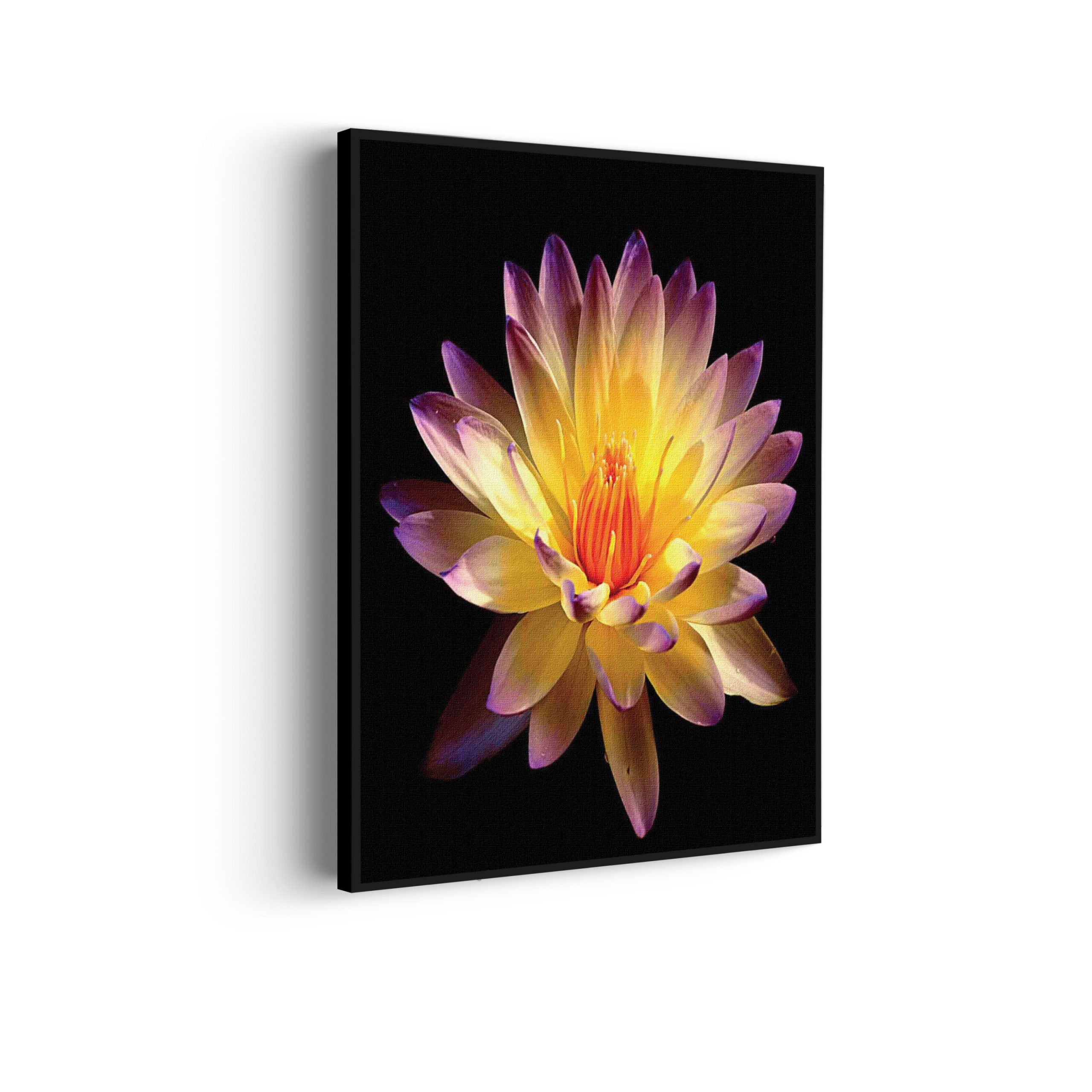 Akoestisch Schilderij Paarse Gele Dahlia Rechthoek Verticaal Template 50 70 verticaal natuur 60 scaled 1
