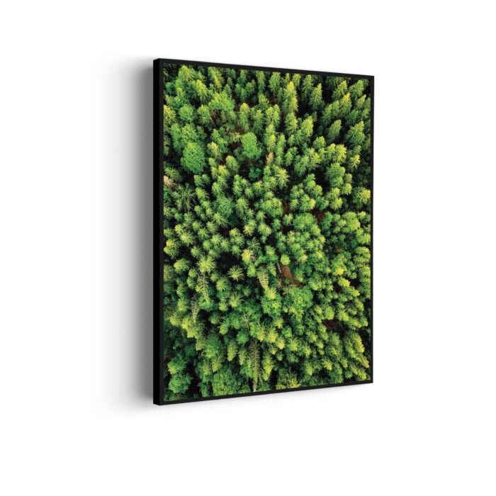 Akoestisch Schilderij Het groene bos Rechthoek Verticaal Template 50 70 verticaal natuur 64 scaled 1