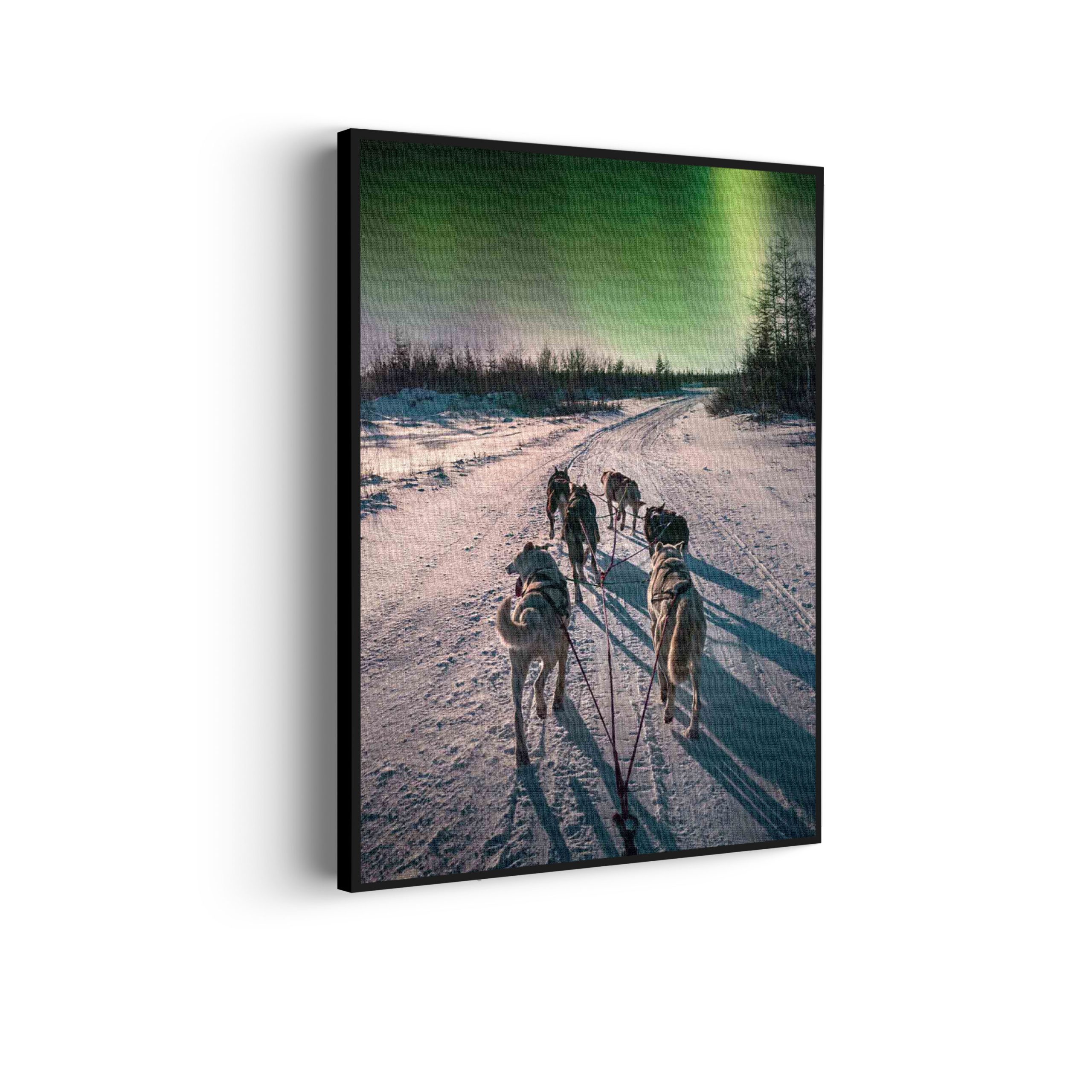 Akoestisch Schilderij Huskies door Lapland Rechthoek Verticaal Template 50 70 verticaal natuur 66 scaled 1
