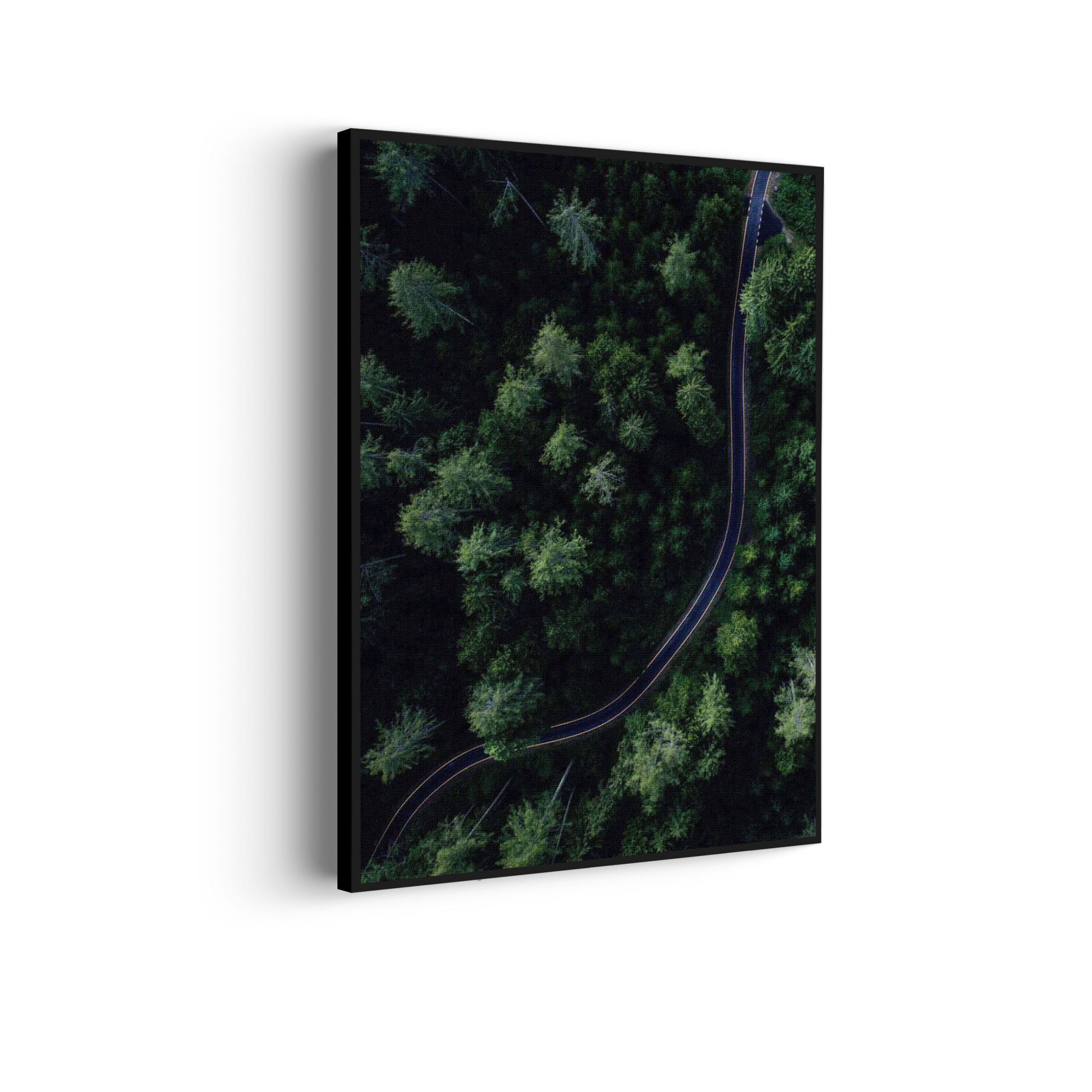 Akoestisch Schilderij Weg door het bos Rechthoek Verticaal Template 50 70 verticaal natuur 74 scaled 1