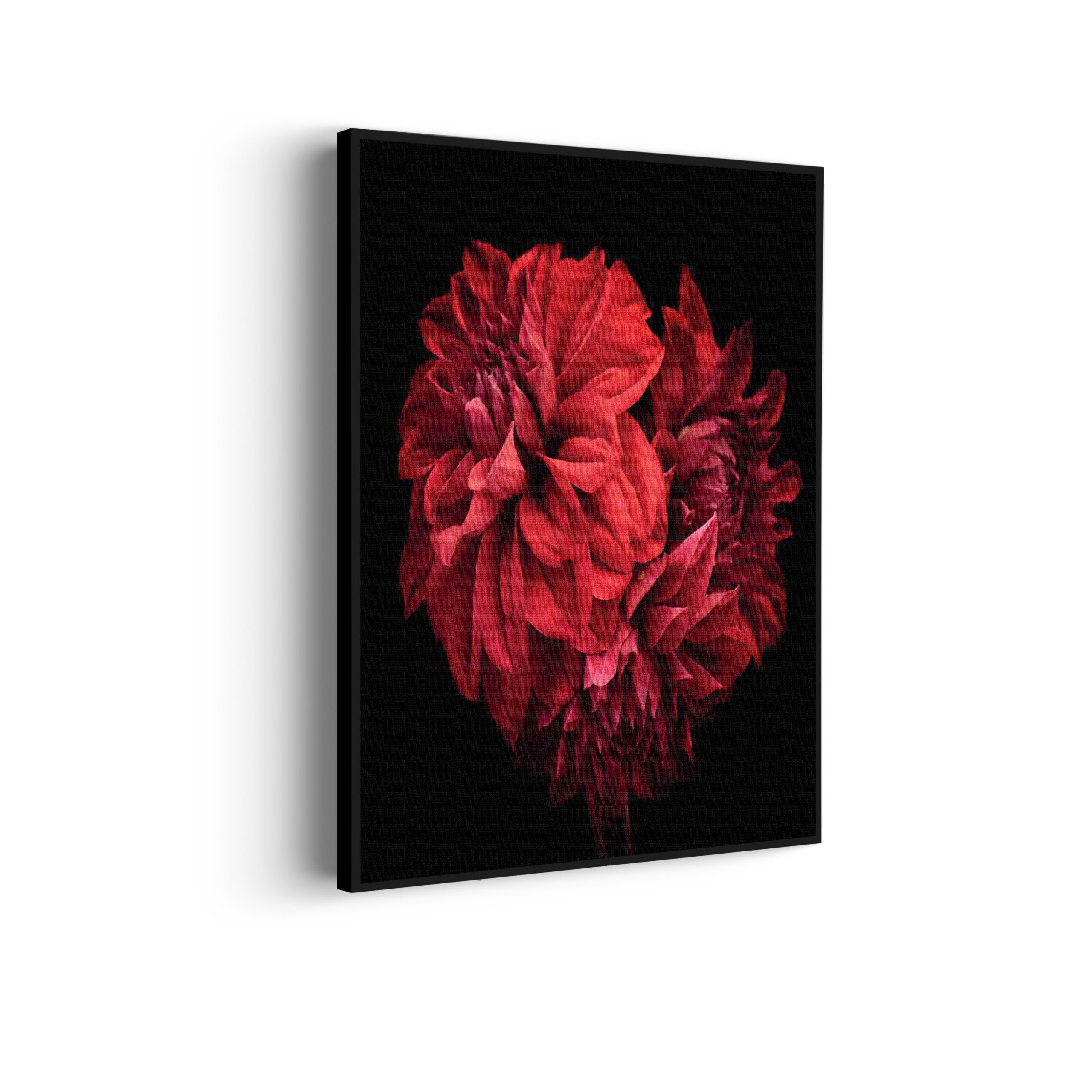 Akoestisch Schilderij Rood Paarse Dahlia Rechthoek Verticaal Template 50 70 verticaal natuur 75 scaled 1