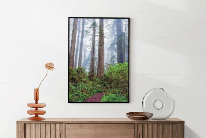 Akoestisch Schilderij Sequoia bos Rechthoek Verticaal Template 50 70 verticaal natuur 88 2 scaled 1