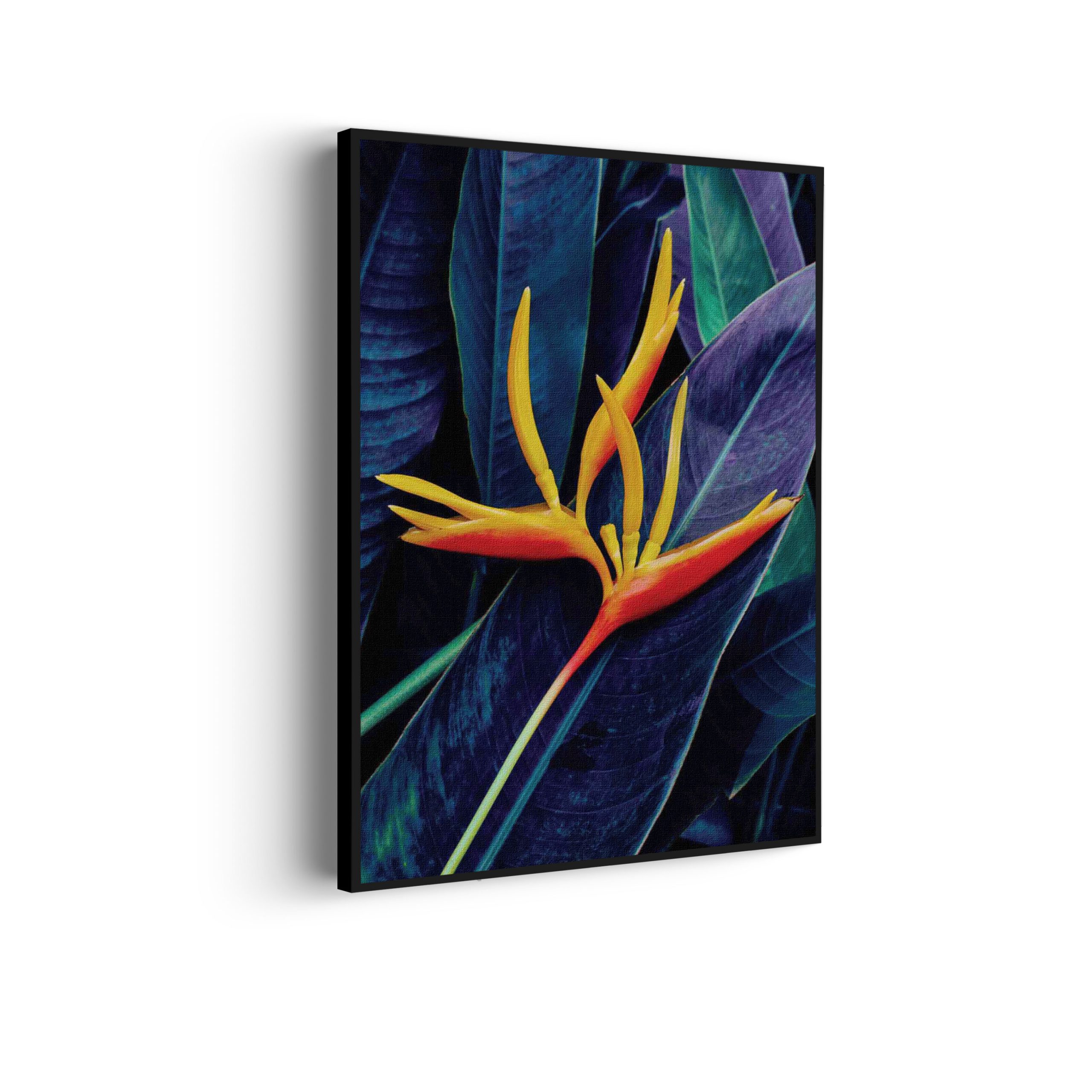 Akoestisch Schilderij Heliconia bloem op donkere achtergrond Rechthoek Verticaal Template 50 70 verticaal natuur 95 1 scaled 1
