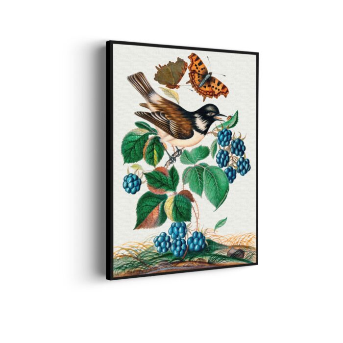 Akoestisch Schilderij Prent Natuur Vogel en Bloemen 14 Rechthoek Verticaal Template 50 70 verticaal vintage 14 scaled 1