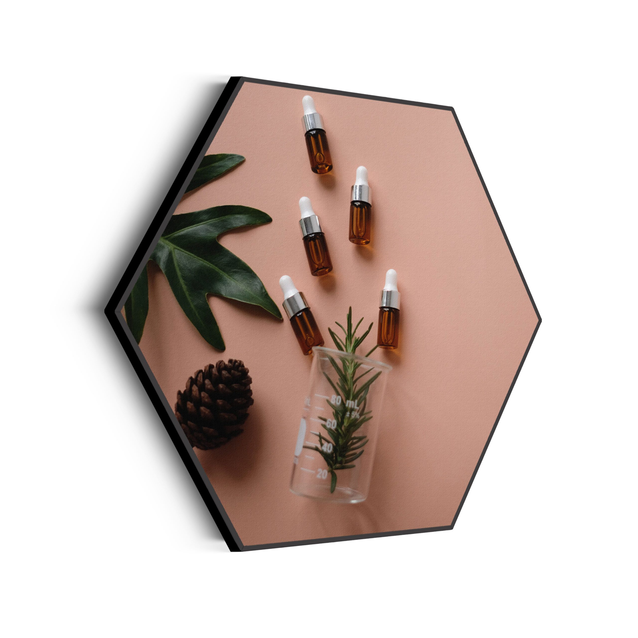 Akoestisch Schilderij Beautysalon 02 Hexagon Template Hexagon Beauty 7 scaled 1