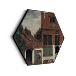 Akoestisch Schilderij Johannes Vermeer Meisje met de parel 1665-1167 Hexagon Template Hexagon OM 30 scaled 1