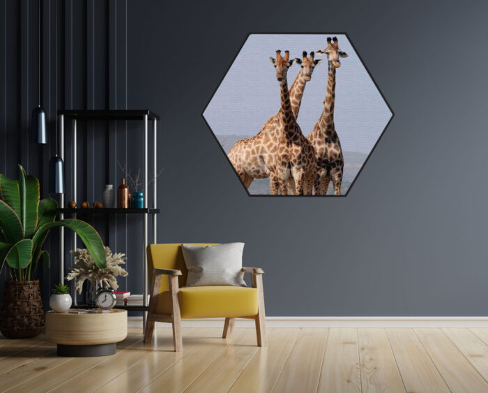 Akoestisch Schilderij Drie Giraffen Hexagon Template Hexagon dieren 14 1 scaled 1