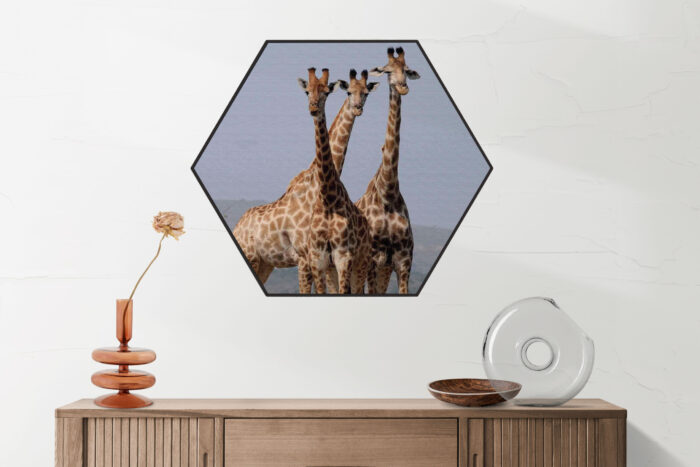 Akoestisch Schilderij Drie Giraffen Hexagon Template Hexagon dieren 14 2 scaled 1