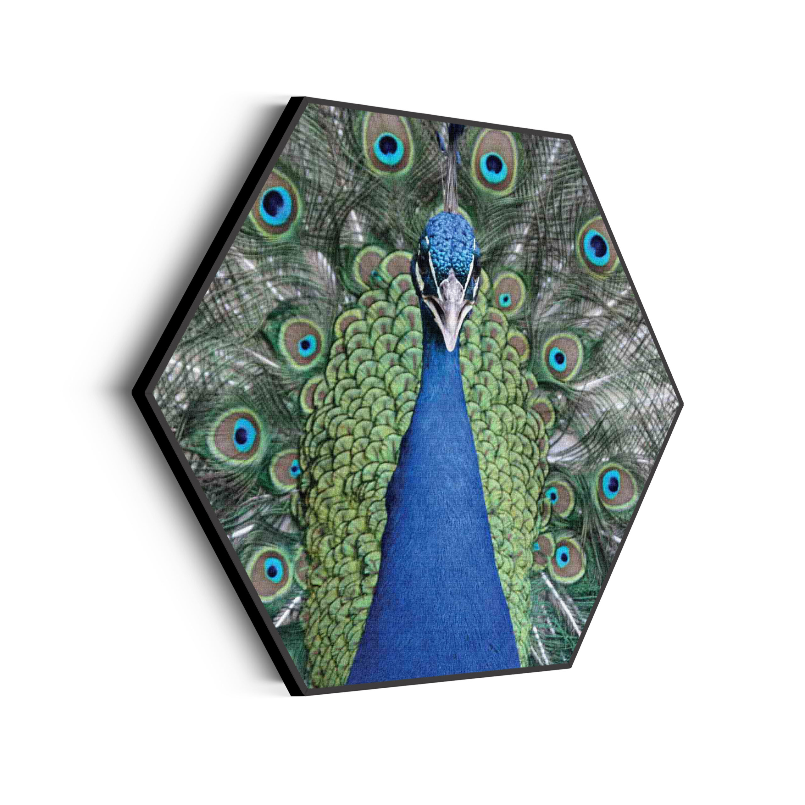 Akoestisch Schilderij Blauwe Pauw Met Groene Verem Hexagon Template Hexagon dieren 20 scaled 1