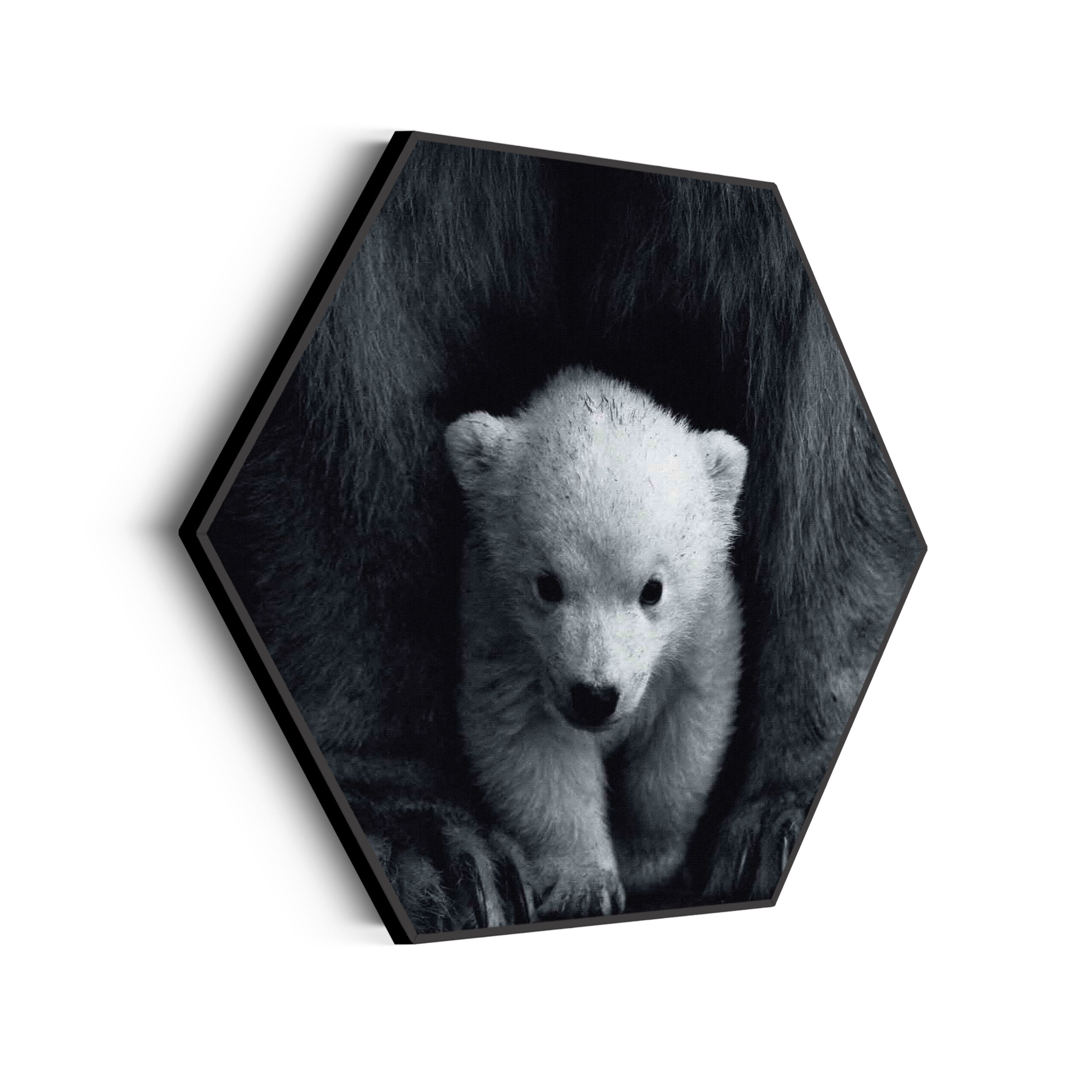 Akoestisch Schilderij Het Beschermde Welpje Hexagon Template Hexagon dieren 22 scaled 1