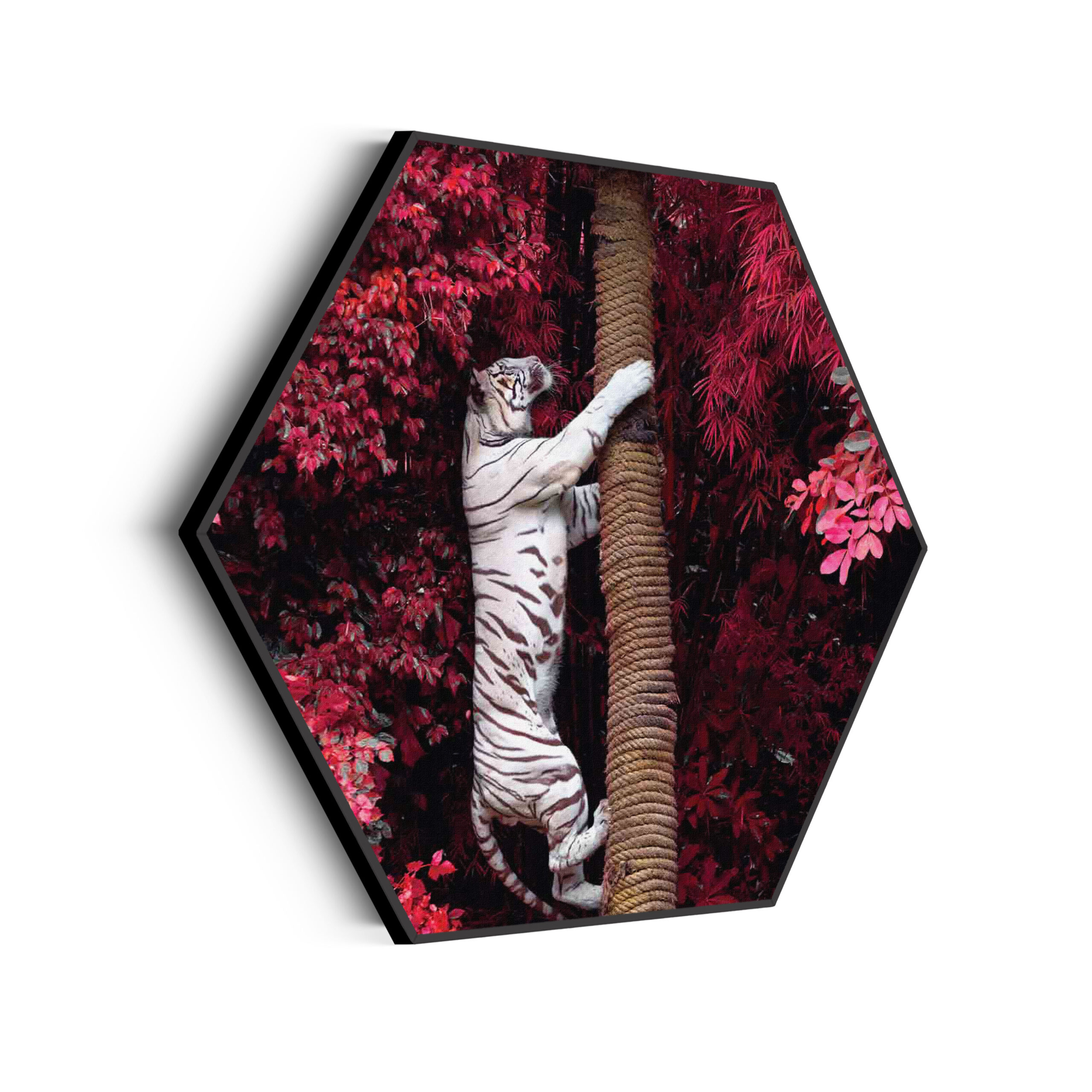 Akoestisch Schilderij Het Beschermde Welpje Hexagon Template Hexagon dieren 28 scaled 1
