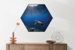 Akoestisch Schilderij Zeeschildpad In Helderblauw Water 03 Hexagon Template Hexagon dieren 30 2 scaled 1