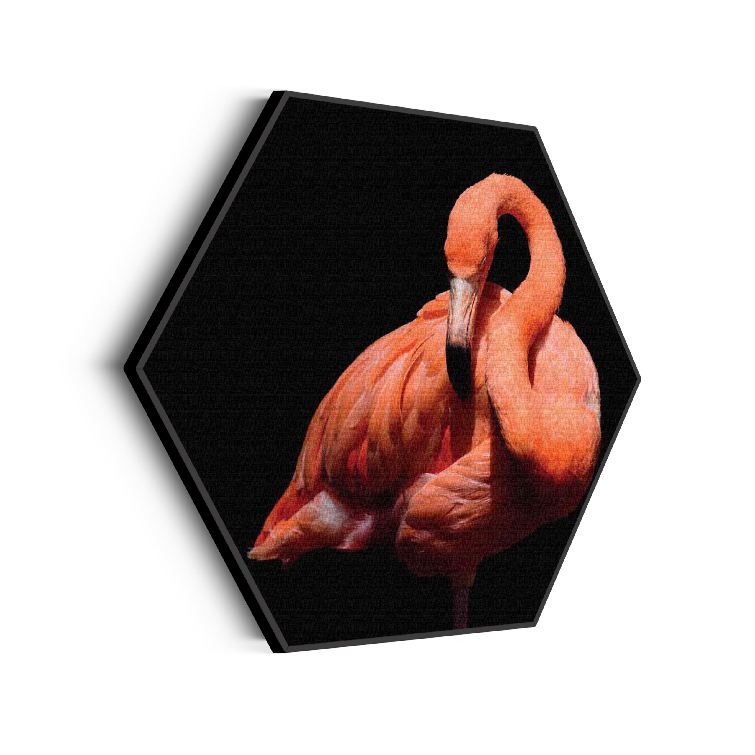 Akoestisch Schilderij Het Beschermde Welpje Hexagon Template Hexagon dieren 33 scaled 1