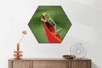 Akoestisch Schilderij Het Beschermde Welpje Hexagon Template Hexagon dieren 35 2 scaled 1