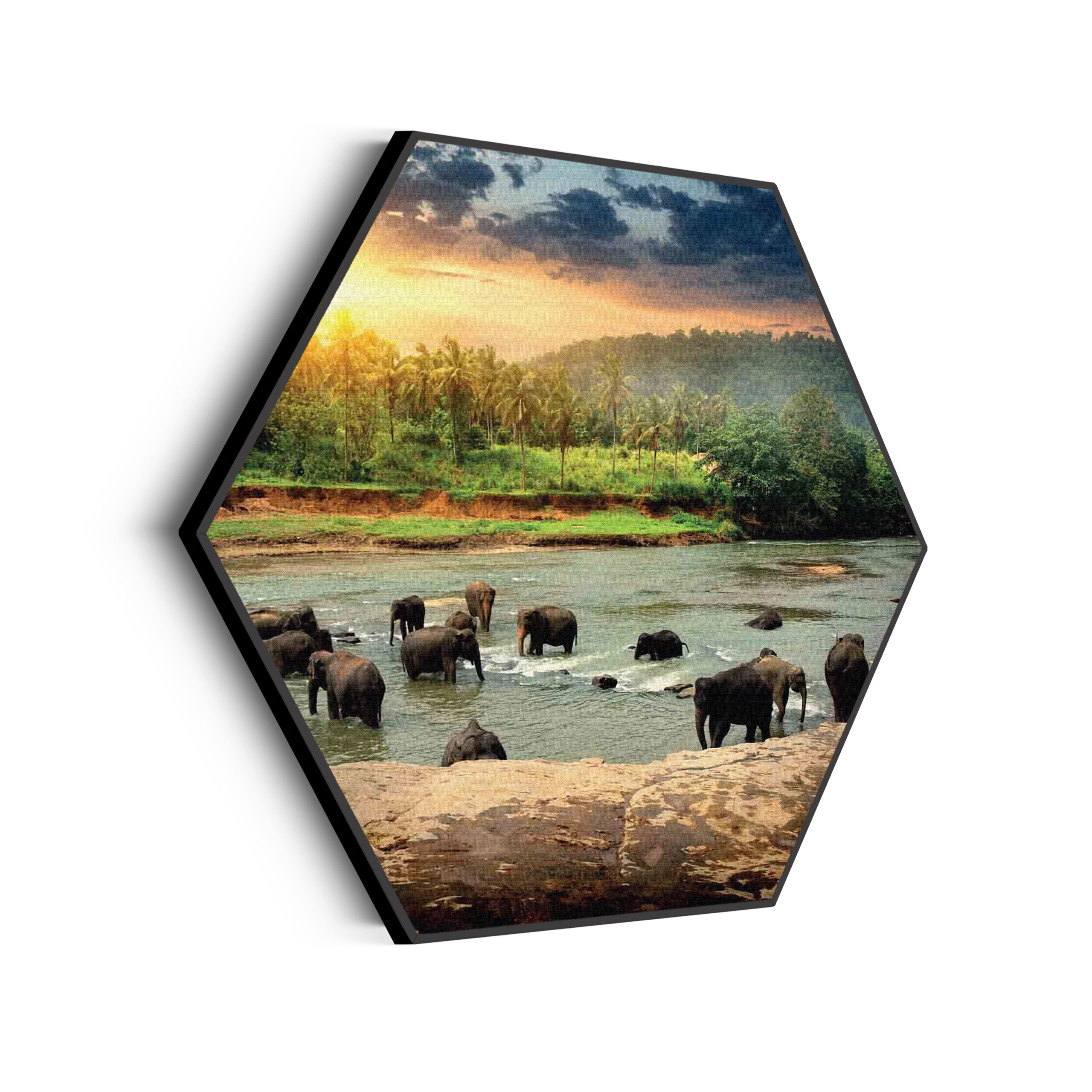 Akoestisch Schilderij De Groene Parkiet Hexagon Template Hexagon dieren 39 scaled 1