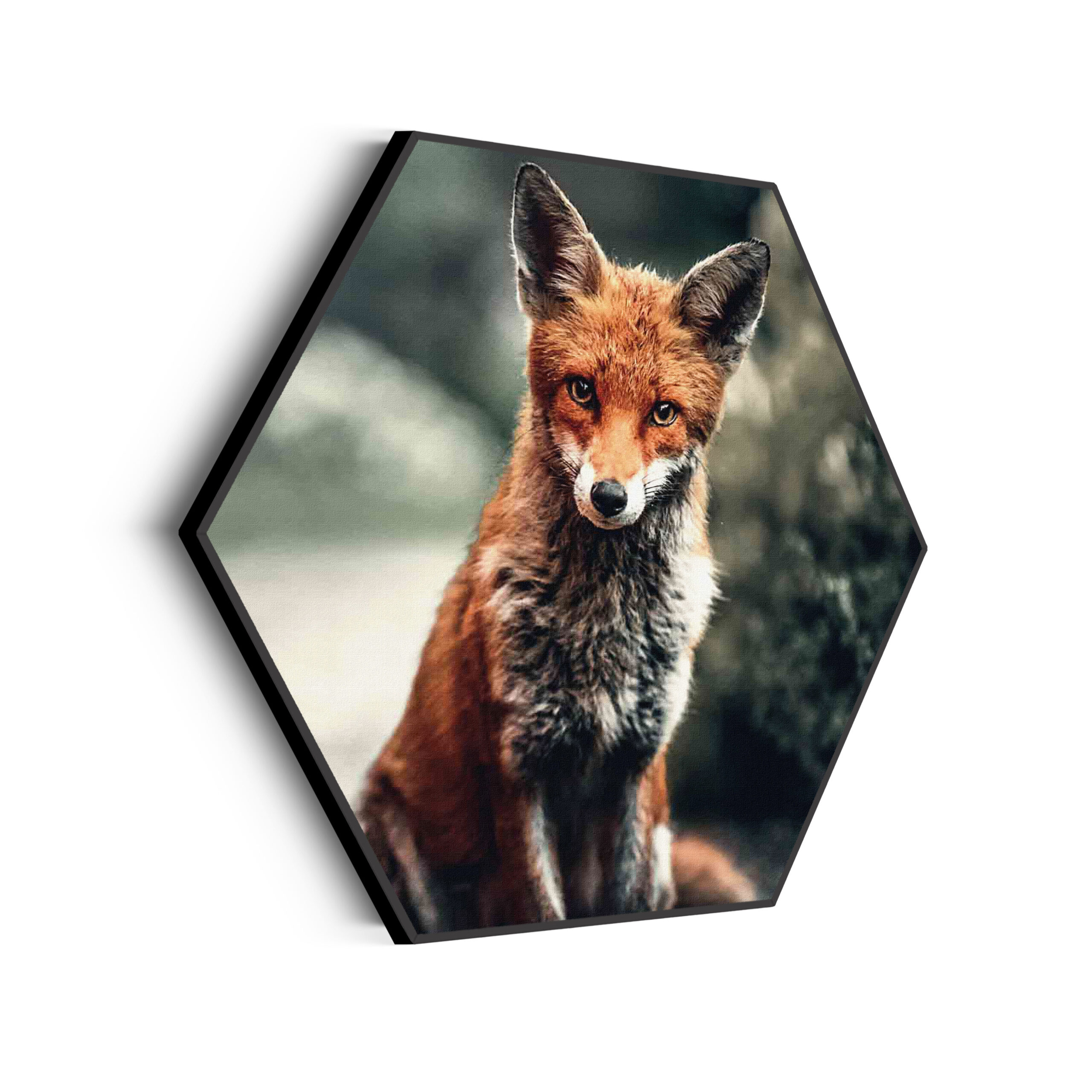 Akoestisch Schilderij Springende Dolfijnen Goud 01 Hexagon Template Hexagon dieren 4 scaled 1