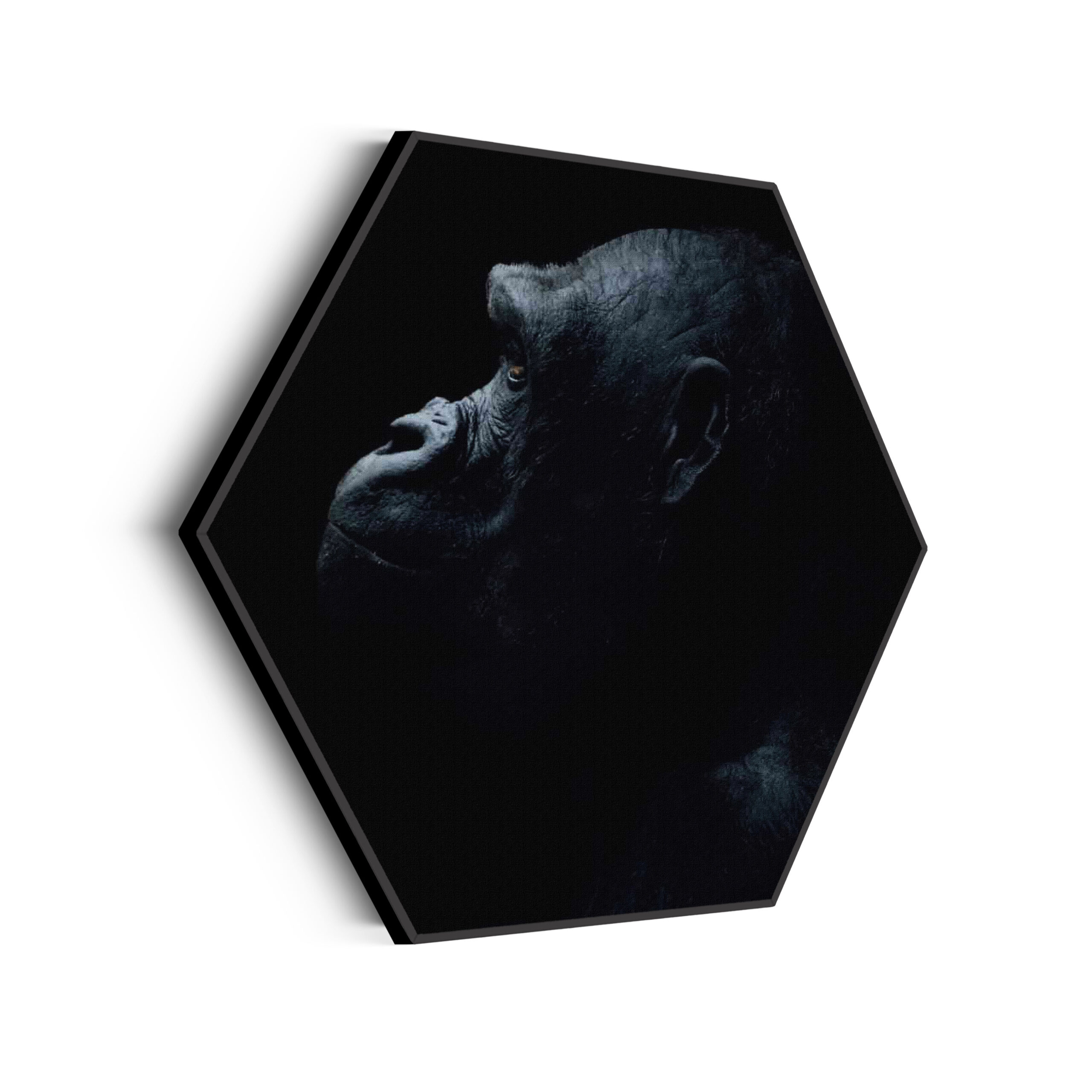 Akoestisch Schilderij De Aap Zwart Wit Hexagon Template Hexagon dieren 65 scaled 1