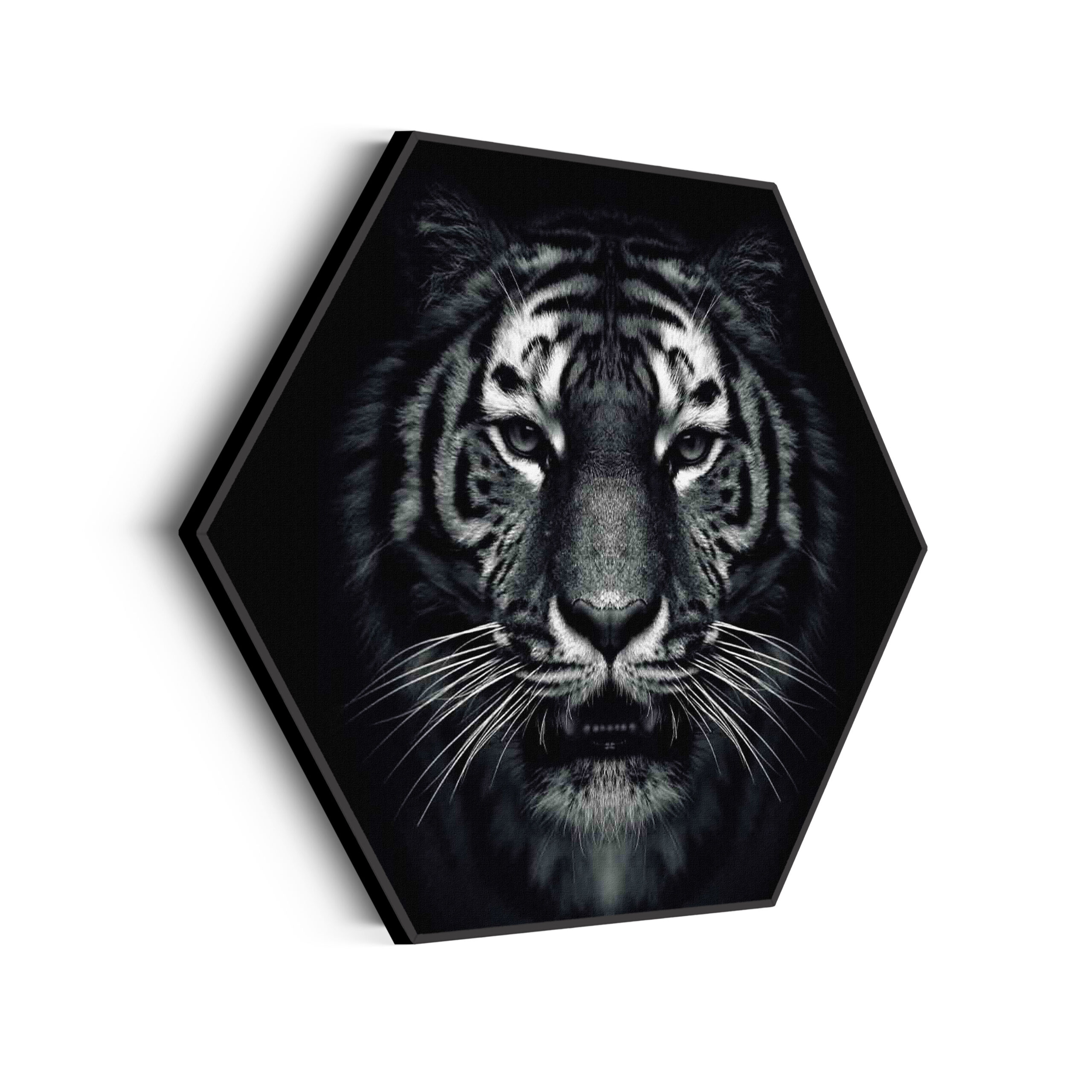 Template_Hexagon_dieren_67-scaled Akoestisch Schilderij De Tijger Zwart Wit Hexagon Template Hexagon dieren 67 scaled 1