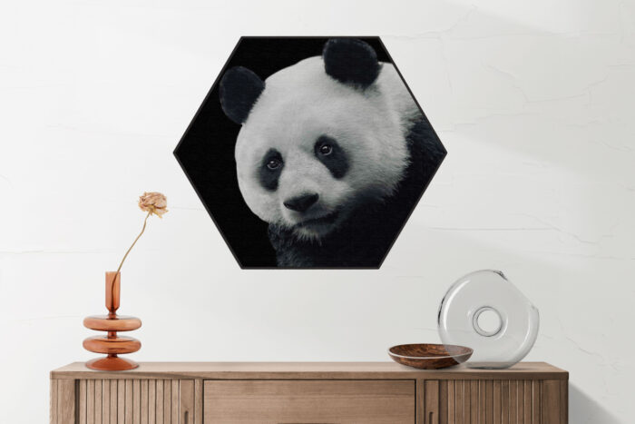 Akoestisch Schilderij Pandabeer Zwart Wit 02 Hexagon Template Hexagon dieren 74 2 scaled 1