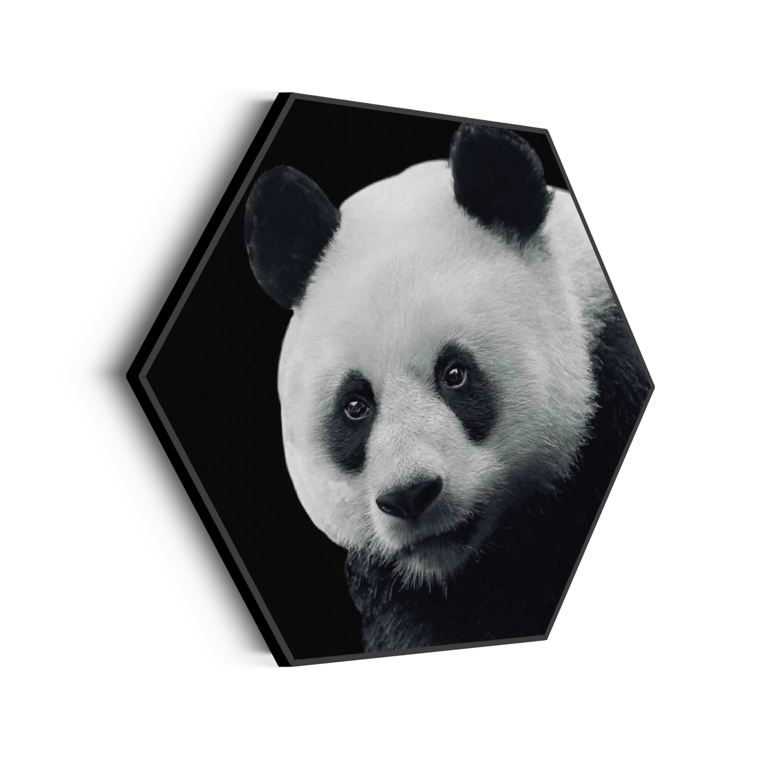 Akoestisch Schilderij Pandabeer Zwart Wit 02 Hexagon Template Hexagon dieren 74 scaled 1