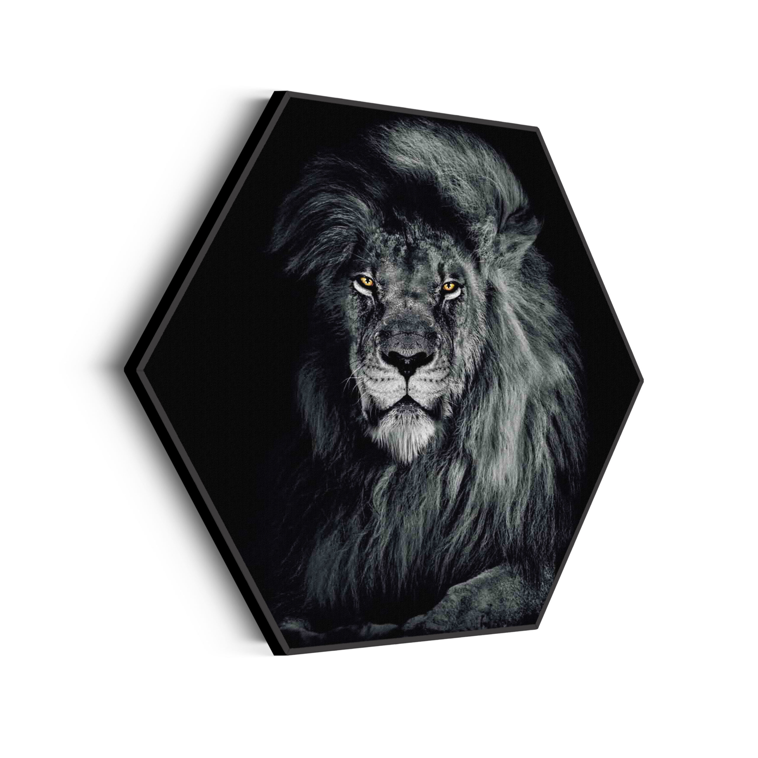 Template_Hexagon_dieren_75-scaled Akoestisch Schilderij De Zwart Witte Leeuw Hexagon Template Hexagon dieren 75 scaled 1