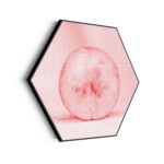Akoestisch Schilderij Radijsje Roze Hexagon Template Hexagon eten en drinken 1 scaled 1