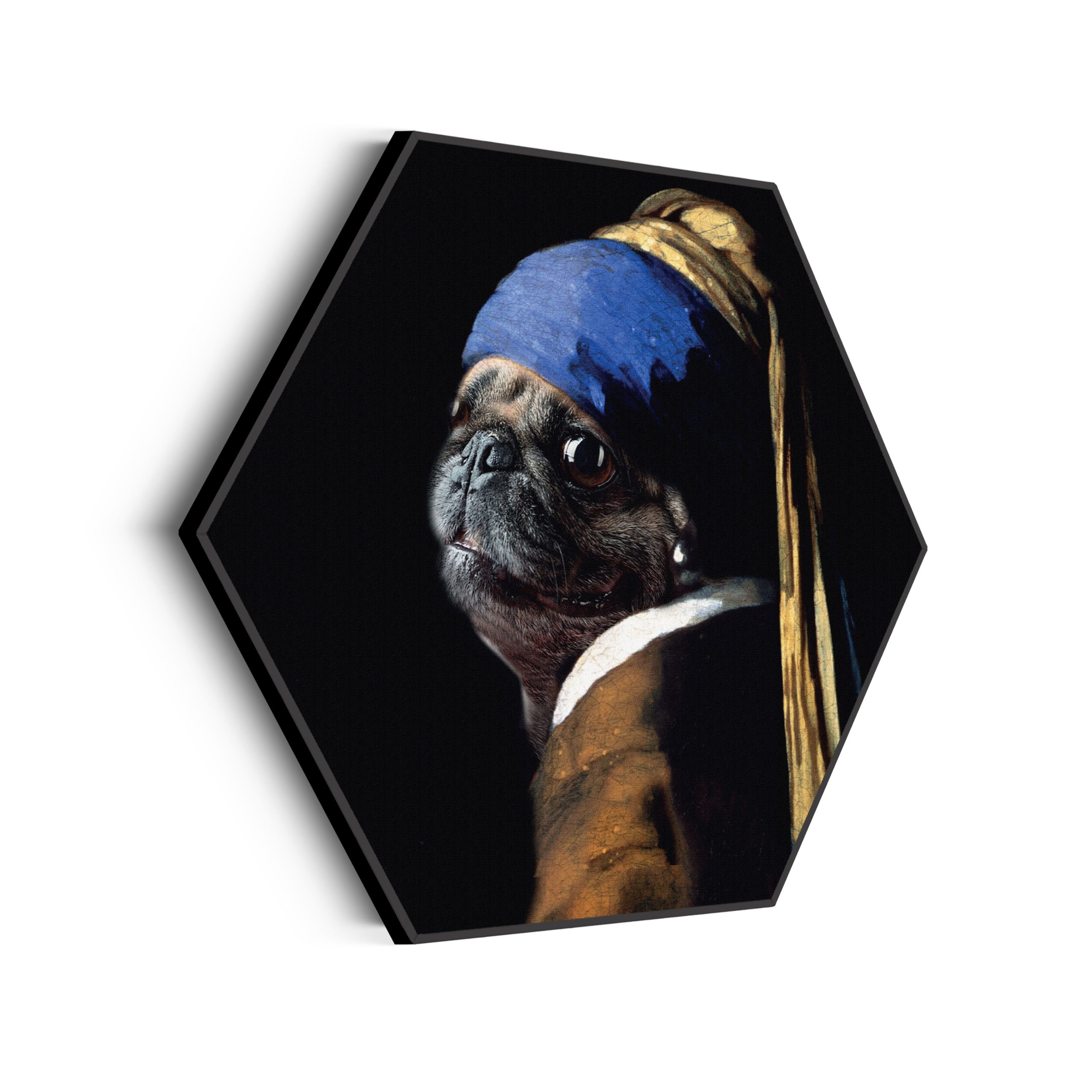 Akoestisch Schilderij Menselijke Bulldog Hond Als Meisje Met De Parel Hexagon Template Hexagon ironisch 10 scaled 1