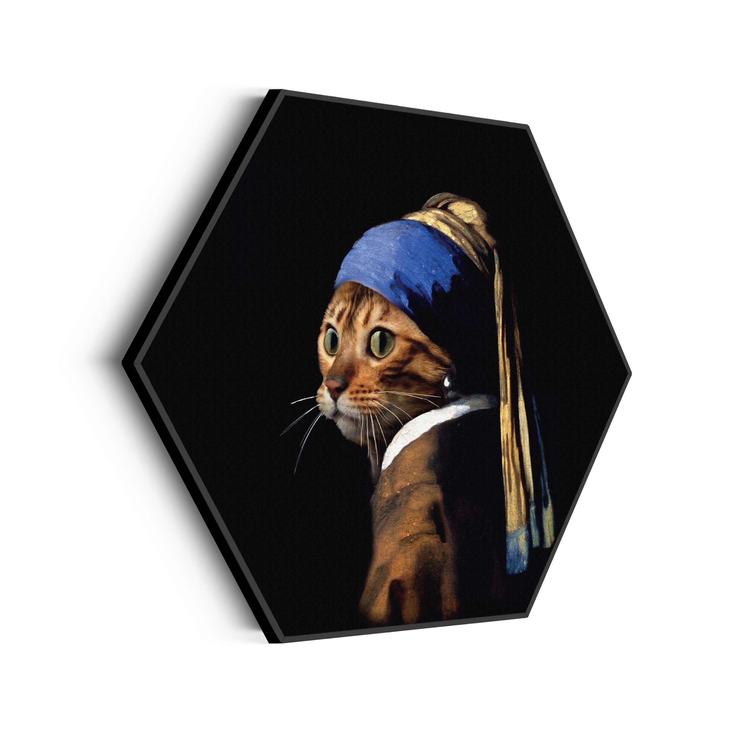 Akoestisch Schilderij Menselijke Kat Als Meisje Met De Parel Hexagon Template Hexagon ironisch 11 scaled 1