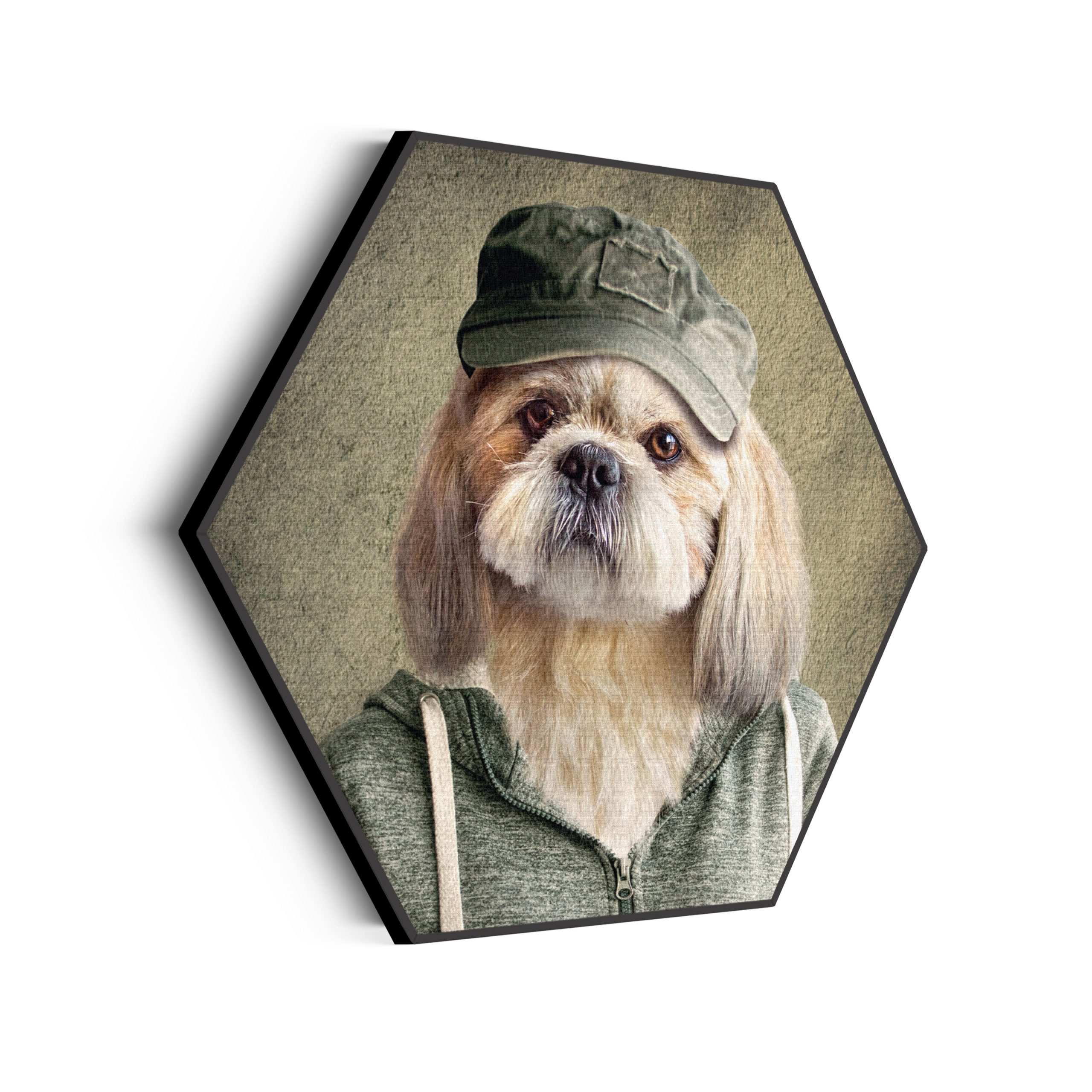 Akoestisch Schilderij Menselijke Hond Met Pet Hexagon Template Hexagon ironisch 8 scaled 1