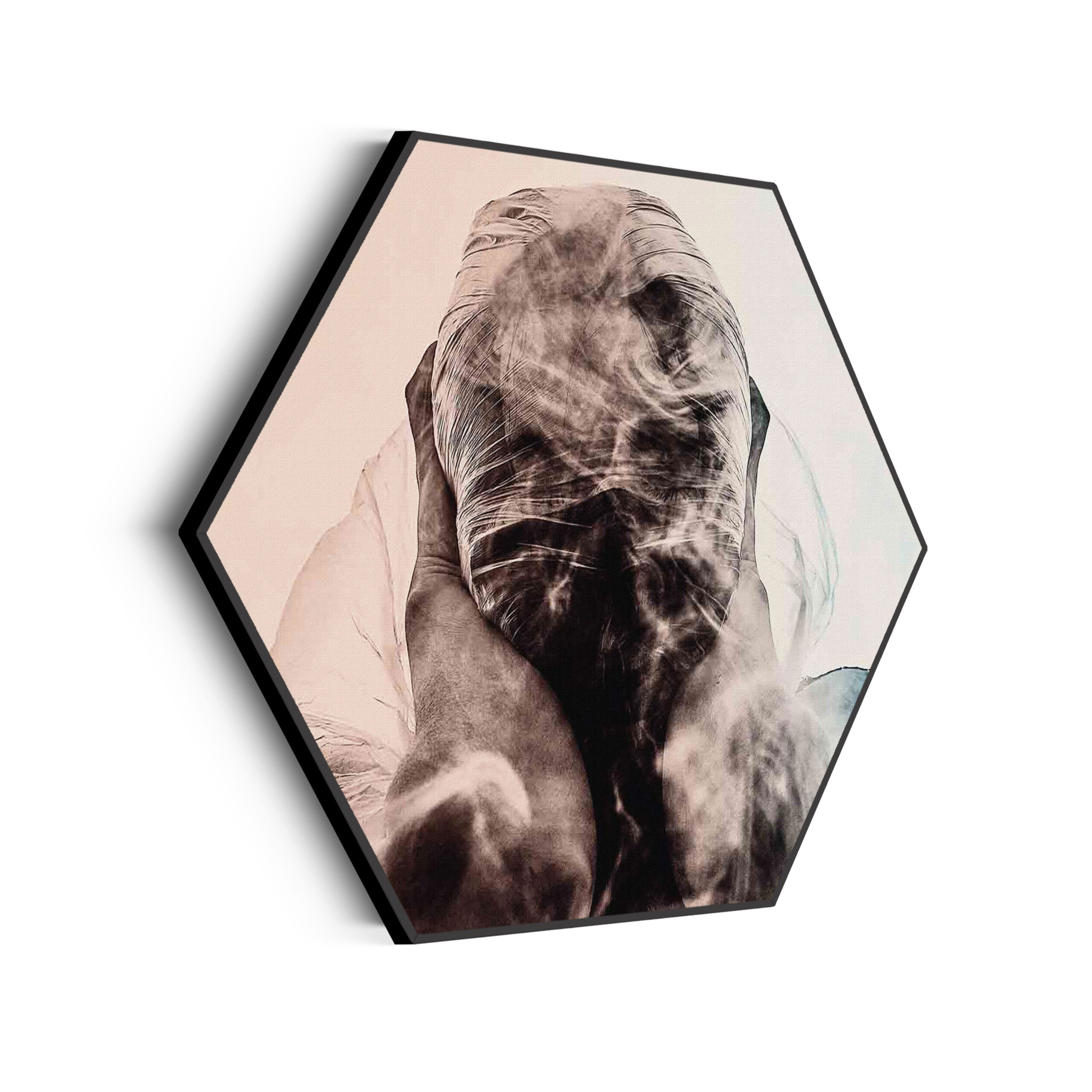 Template_Hexagon_mensen_17-scaled Akoestisch Schilderij Guess Who I am Hexagon Template Hexagon mensen 17 scaled 1