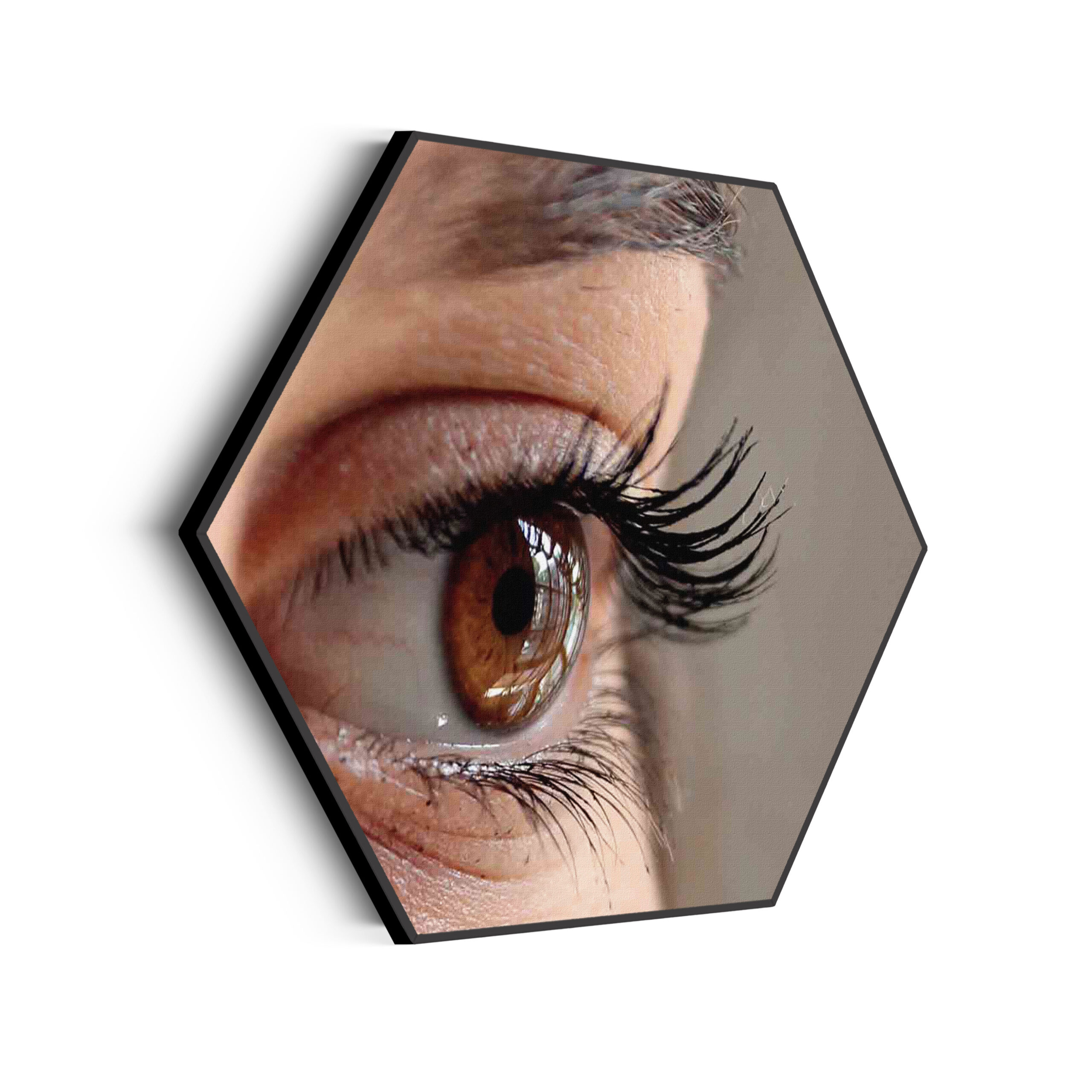 Akoestisch Schilderij Het Bruine Oog Hexagon Template Hexagon mensen 19 scaled 1