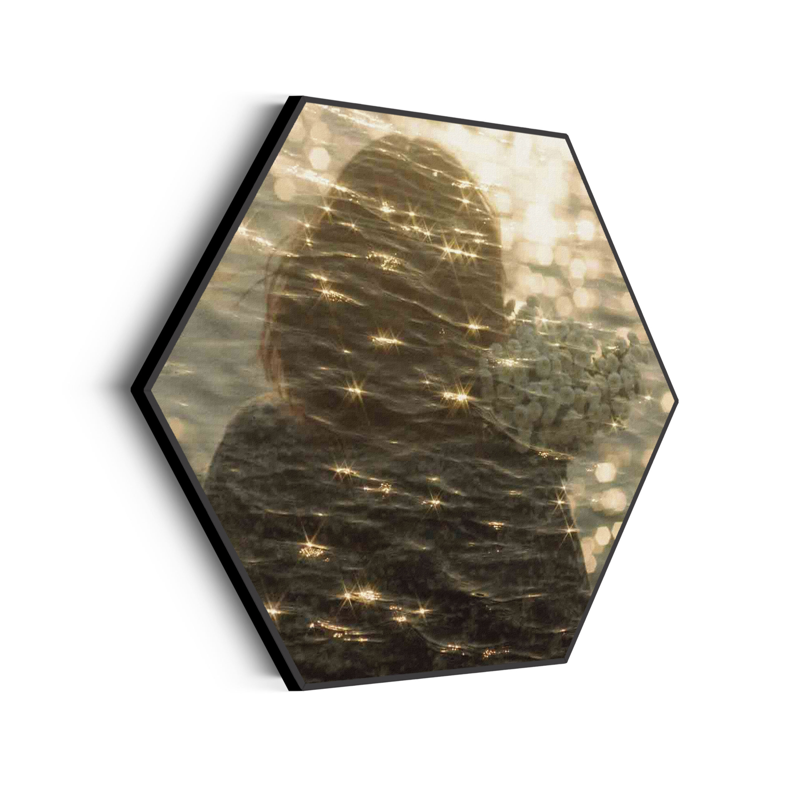 Akoestisch Schilderij De Verlichting Hexagon Template Hexagon mensen 27 scaled 1