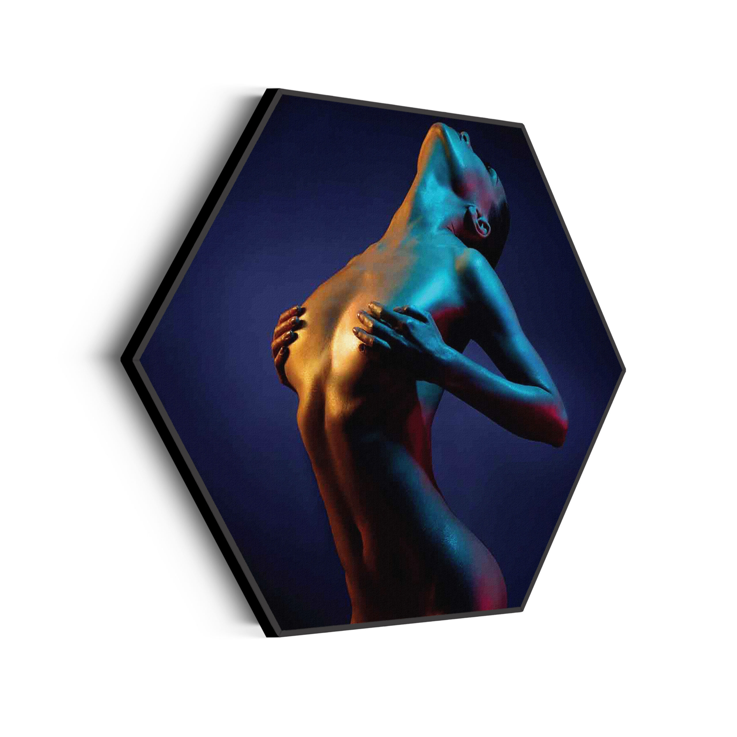 Akoestisch Schilderij Artistieke Mooie Vrouw Goud 01 Hexagon Template Hexagon mensen 31 scaled 1