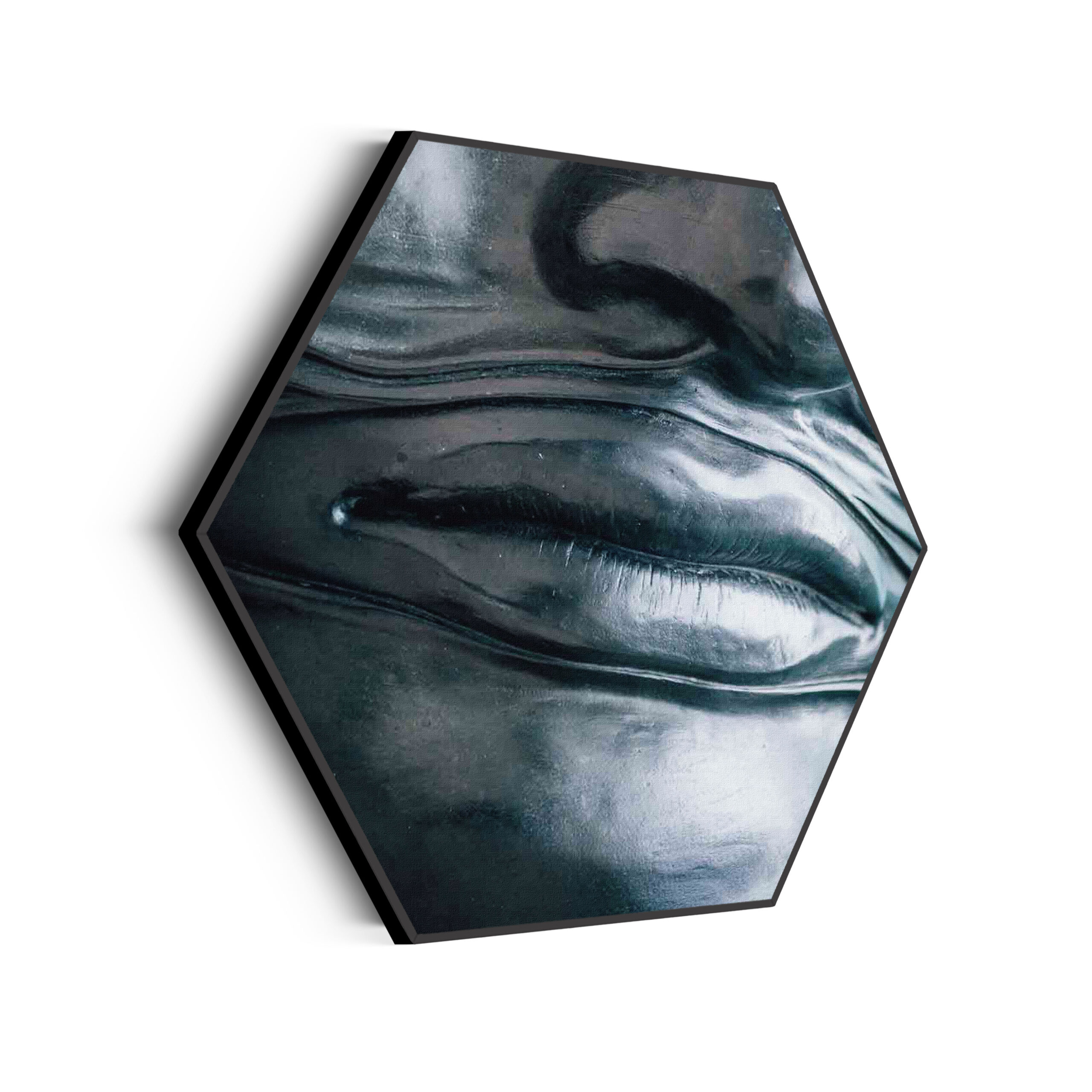 Akoestisch Schilderij Het Zilvere Hoofd Hexagon Template Hexagon mensen 8 scaled 1