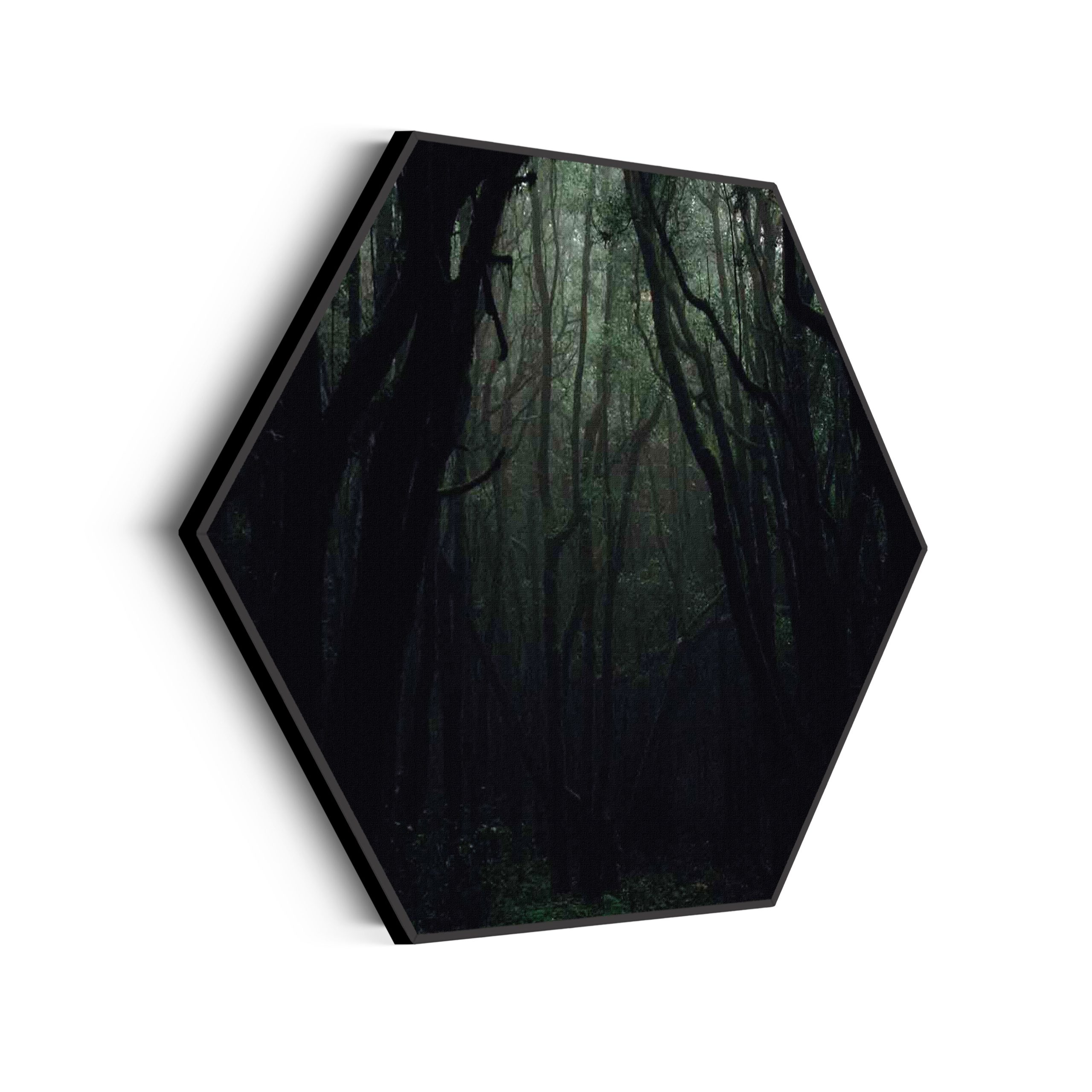 Akoestisch Schilderij Het Donkere Bos Hexagon Template Hexagon natuur 1 scaled 1