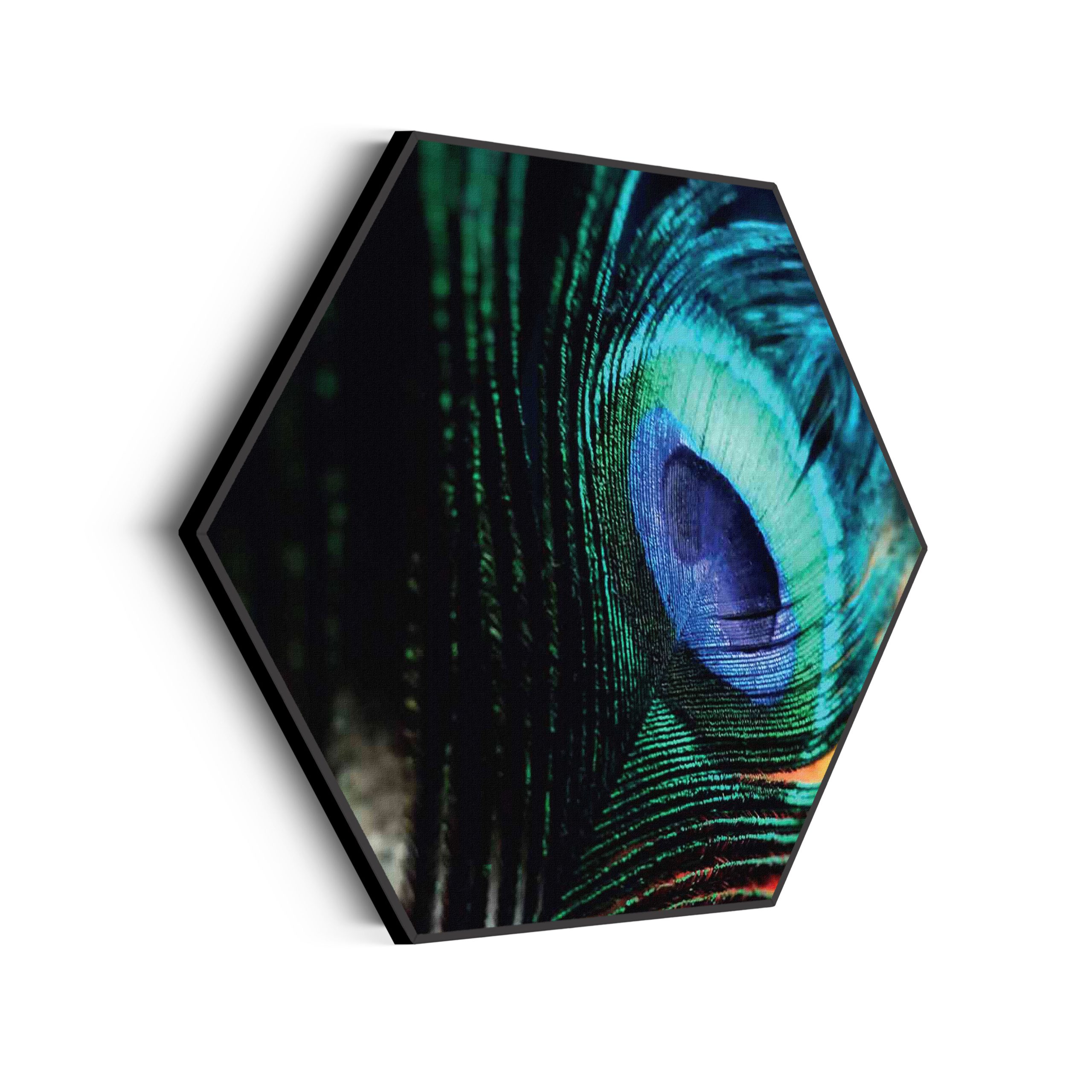 Akoestisch Schilderij Een veer van de Pauw Hexagon Template Hexagon natuur 11 scaled 1