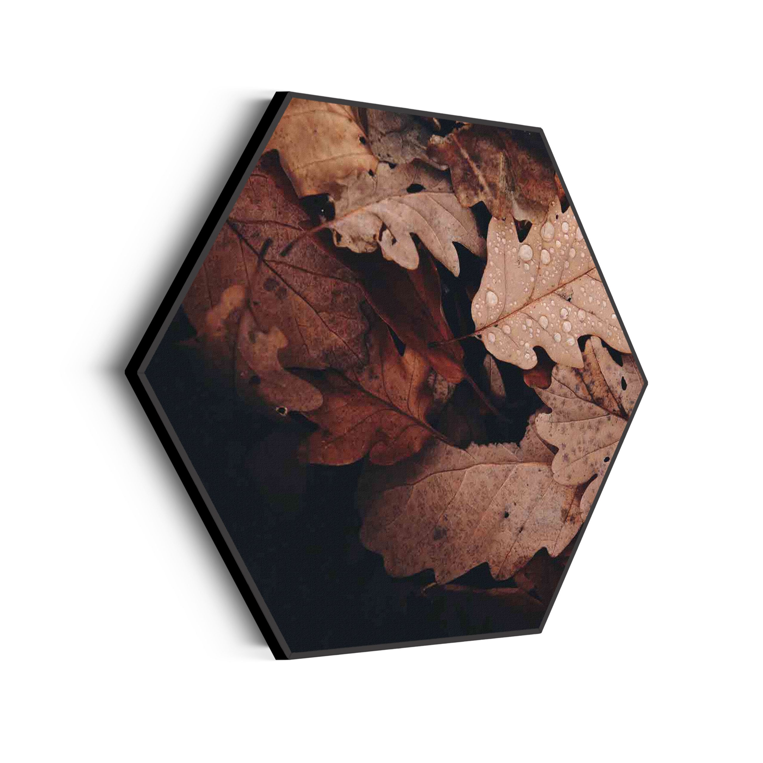 Akoestisch Schilderij Het Donkere Bos Hexagon Template Hexagon natuur 13 scaled 1