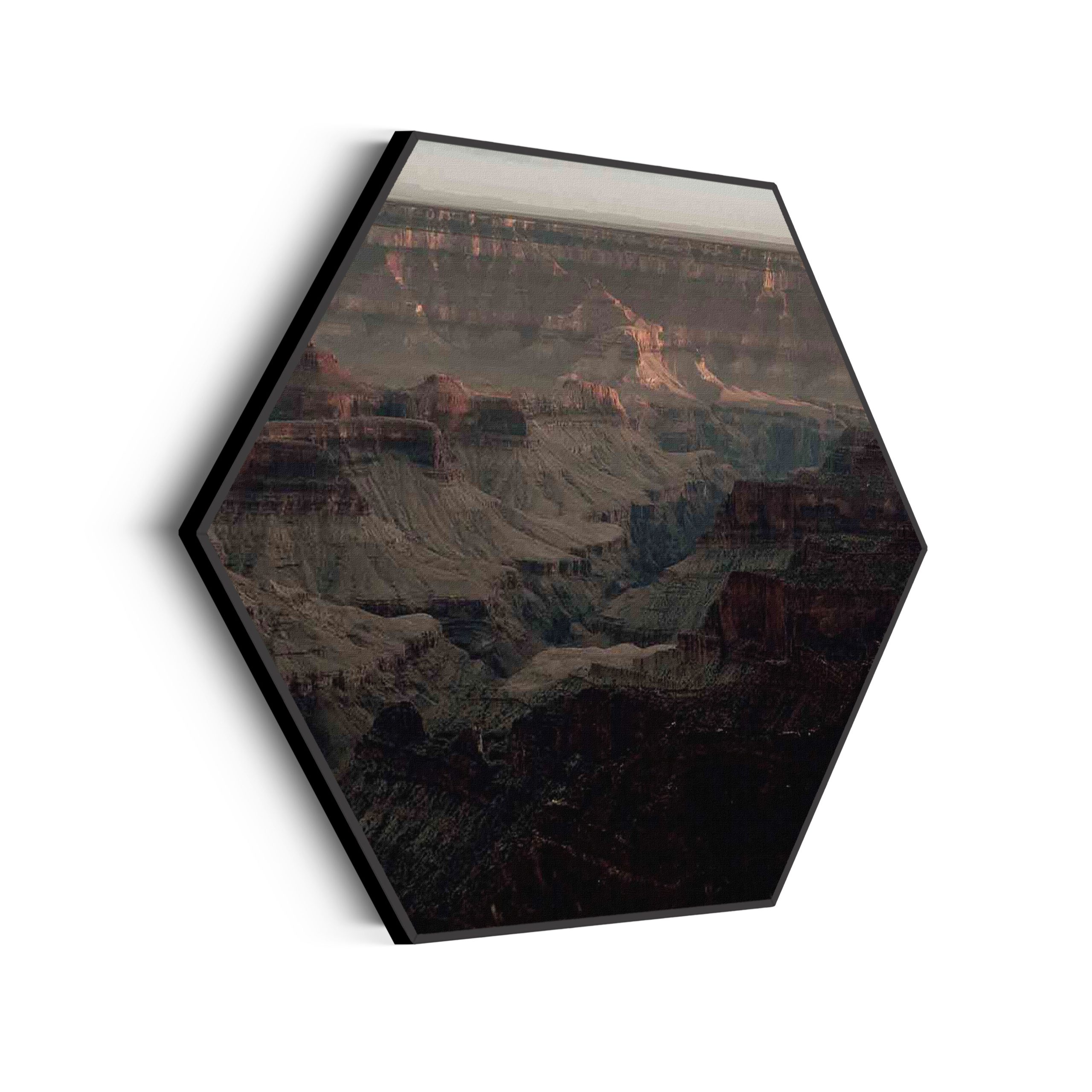 Akoestisch Schilderij Het Donkere Bos Hexagon Template Hexagon natuur 15 scaled 1