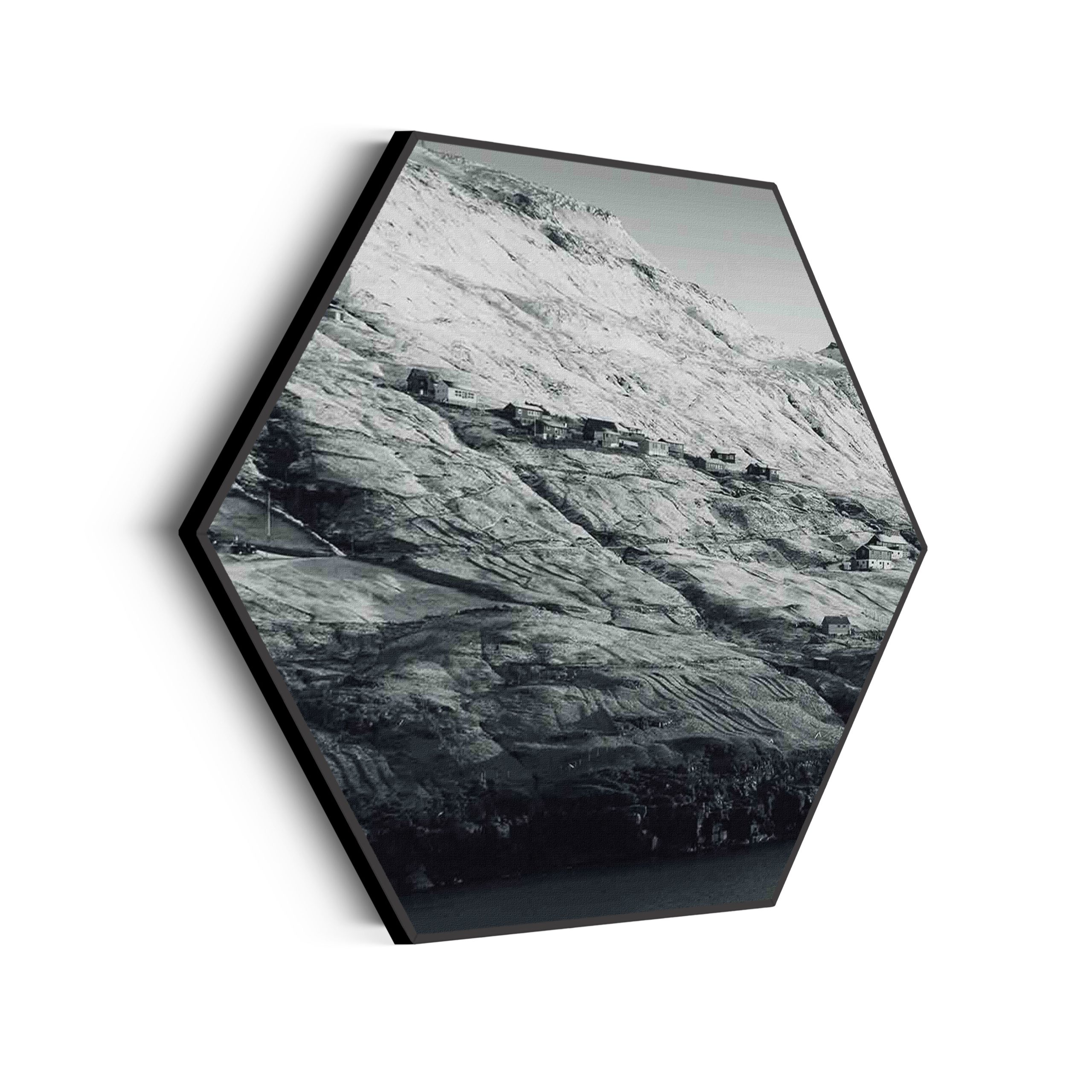 Akoestisch Schilderij Het Donkere Bos Hexagon Template Hexagon natuur 2 scaled 1