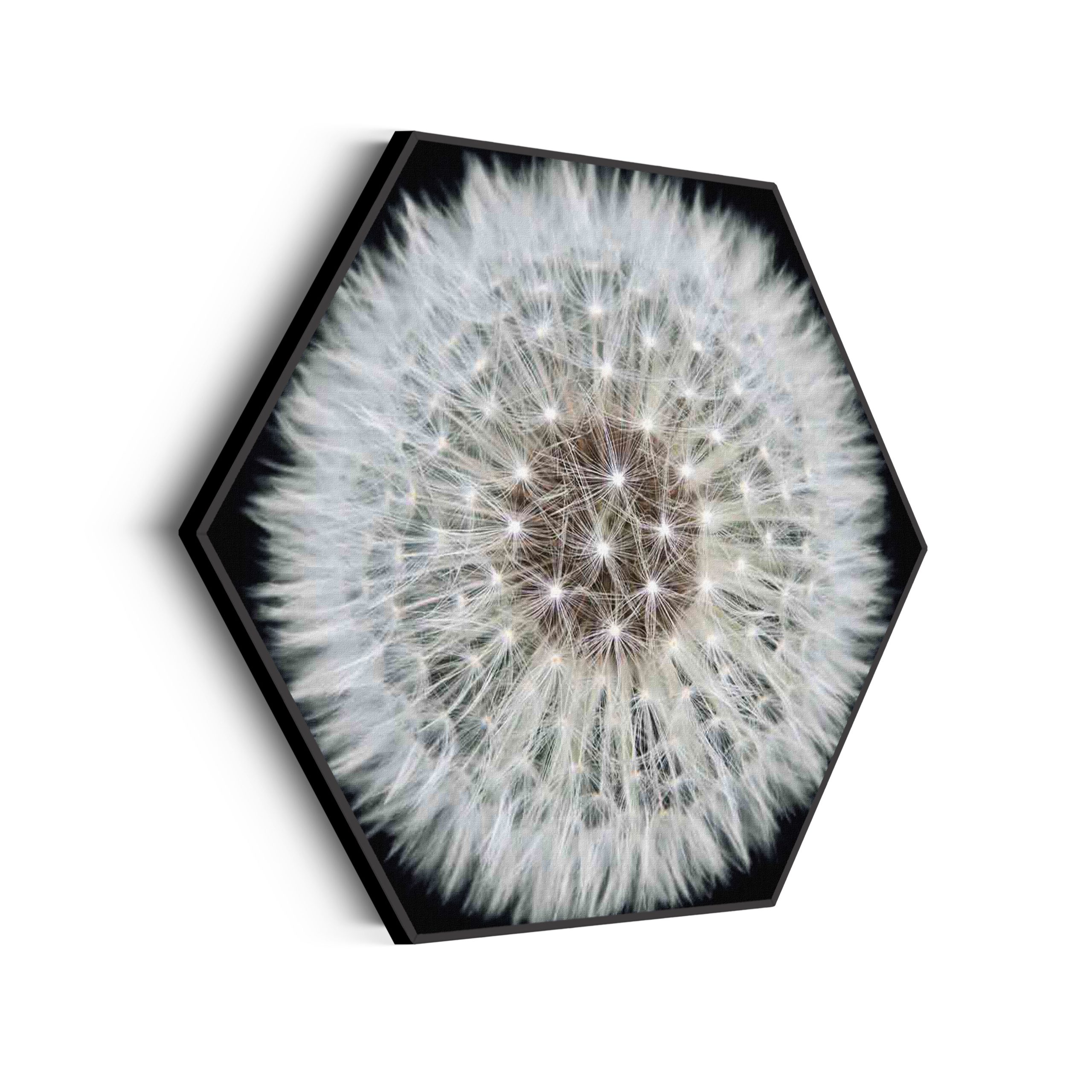 Template_Hexagon_natuur_35-scaled Akoestisch Schilderij Pluis van paardenbloem Hexagon Template Hexagon natuur 35 scaled 1