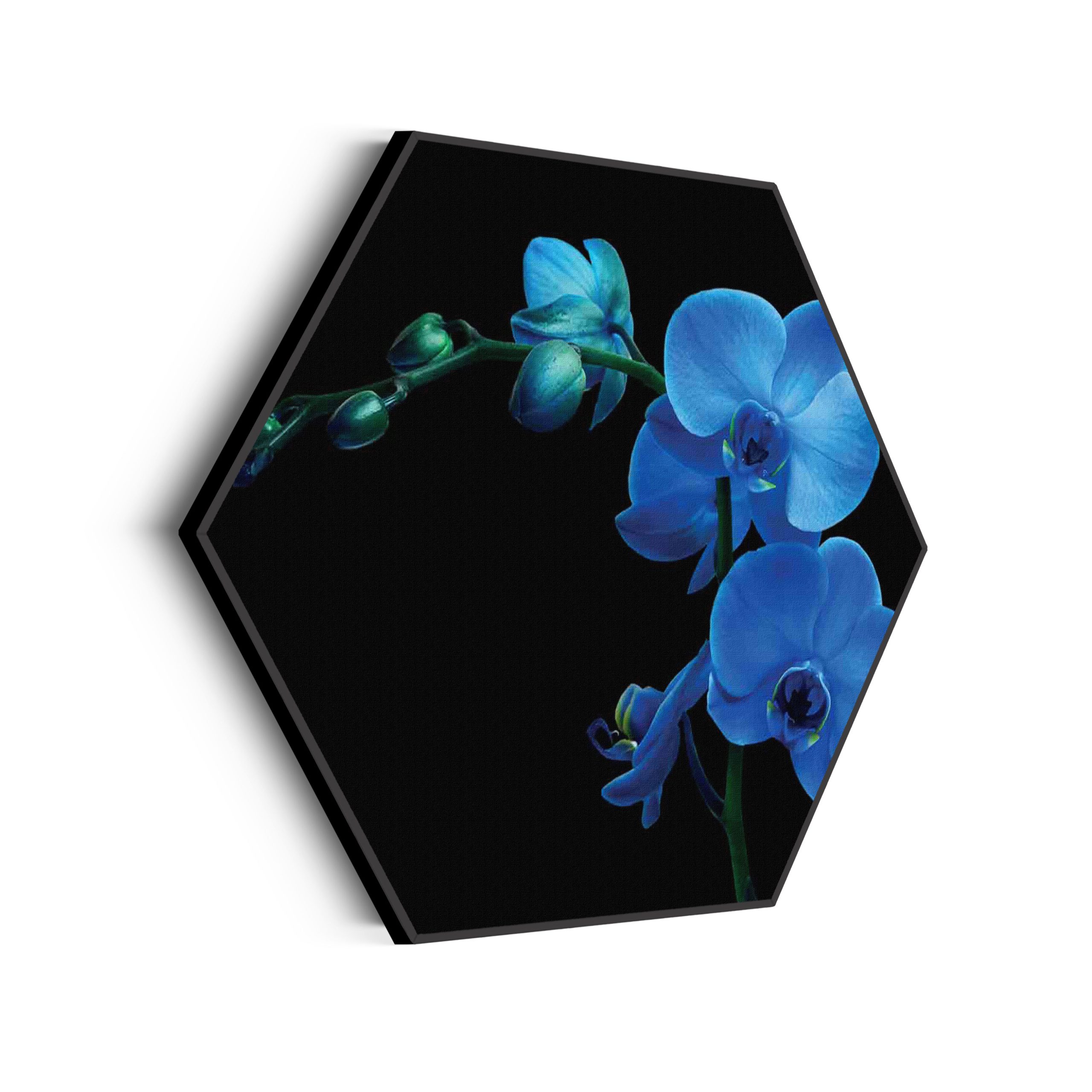 Akoestisch Schilderij Orchidee Hexagon Template Hexagon natuur 39 scaled 1