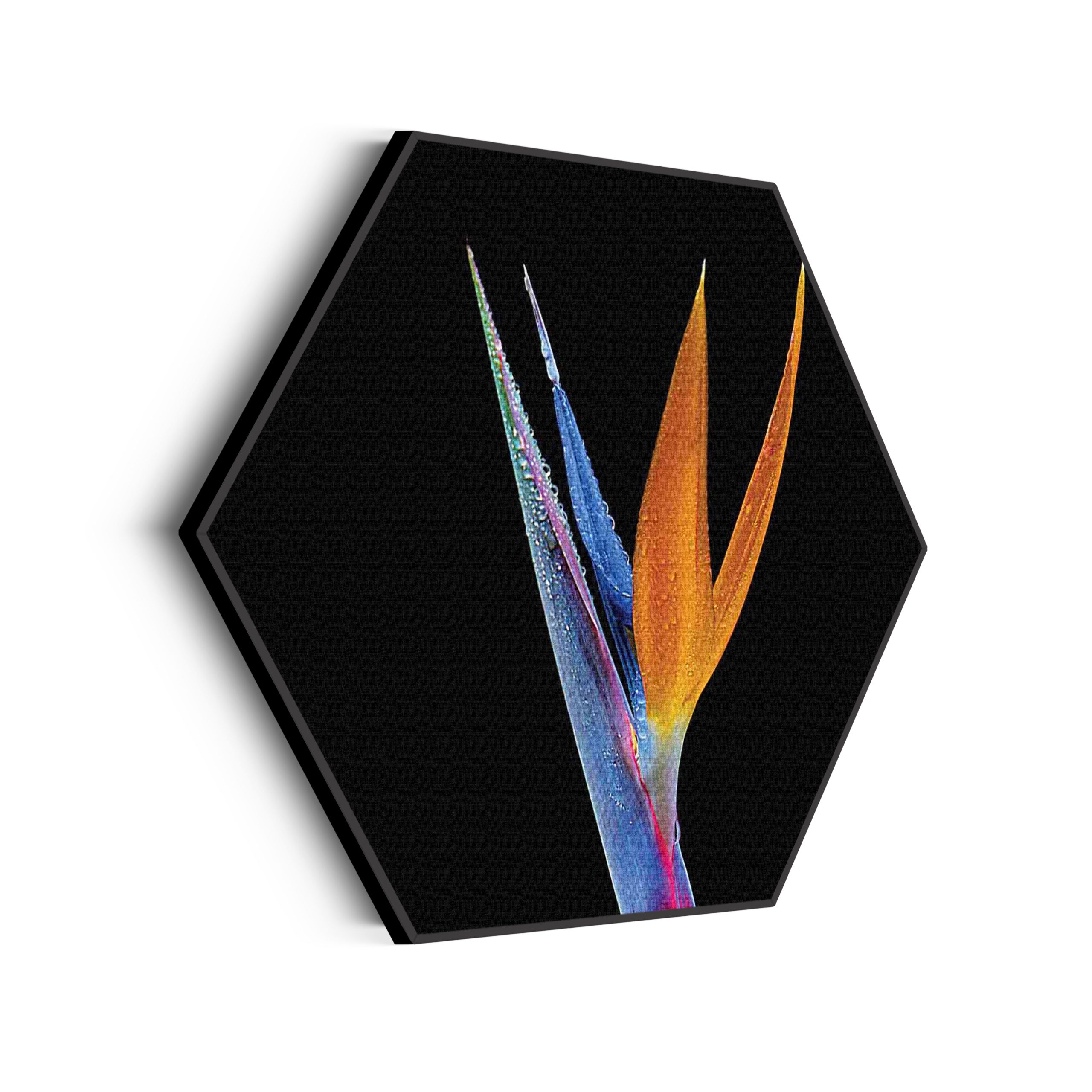 Template_Hexagon_natuur_46-scaled Akoestisch Schilderij Tropische Strelitzia Hexagon Template Hexagon natuur 46 scaled 1